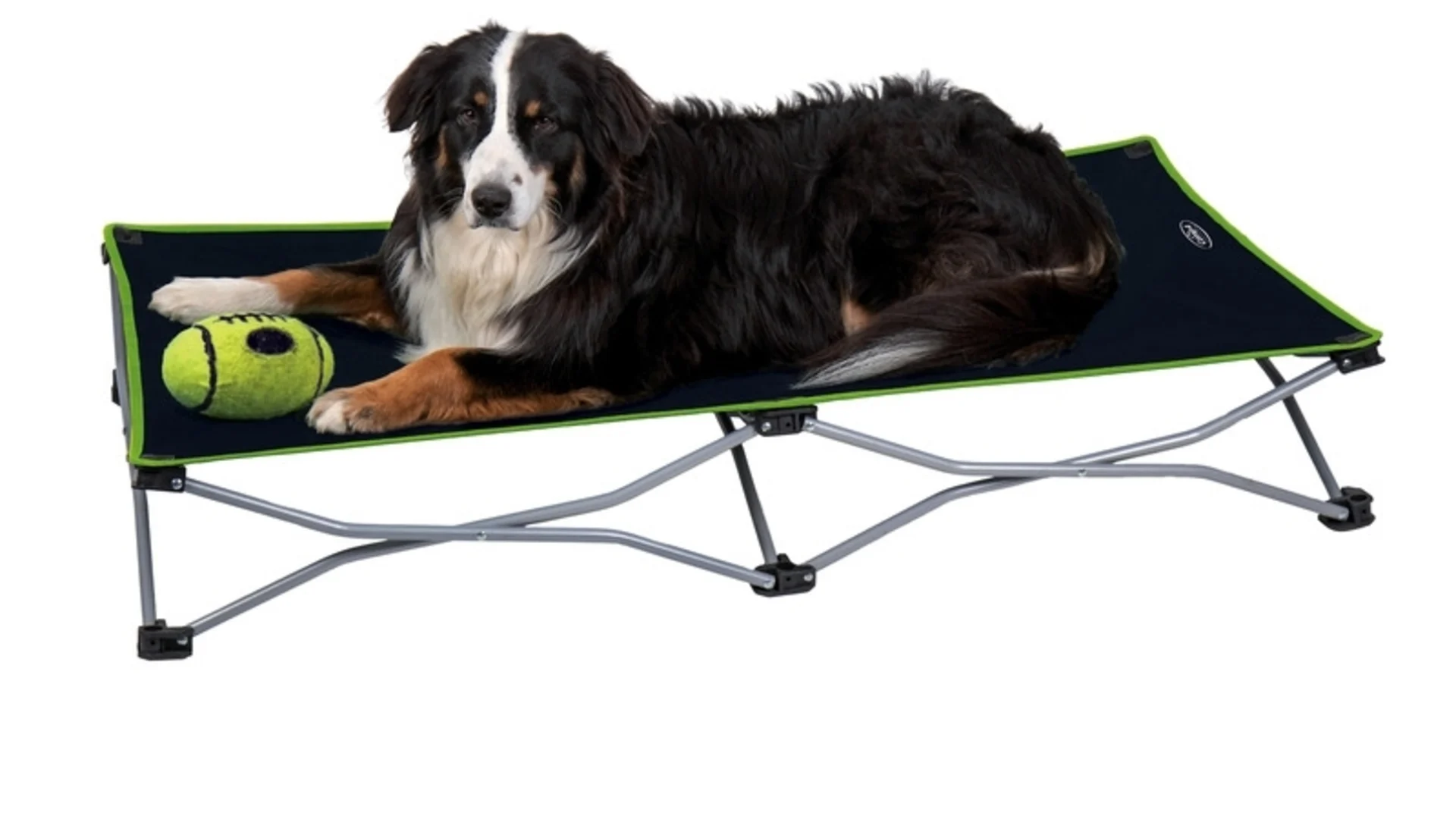 Camp4 chaise longue pliante Momo - lit pour chien / chaise longue pour chien en noir/citron vert