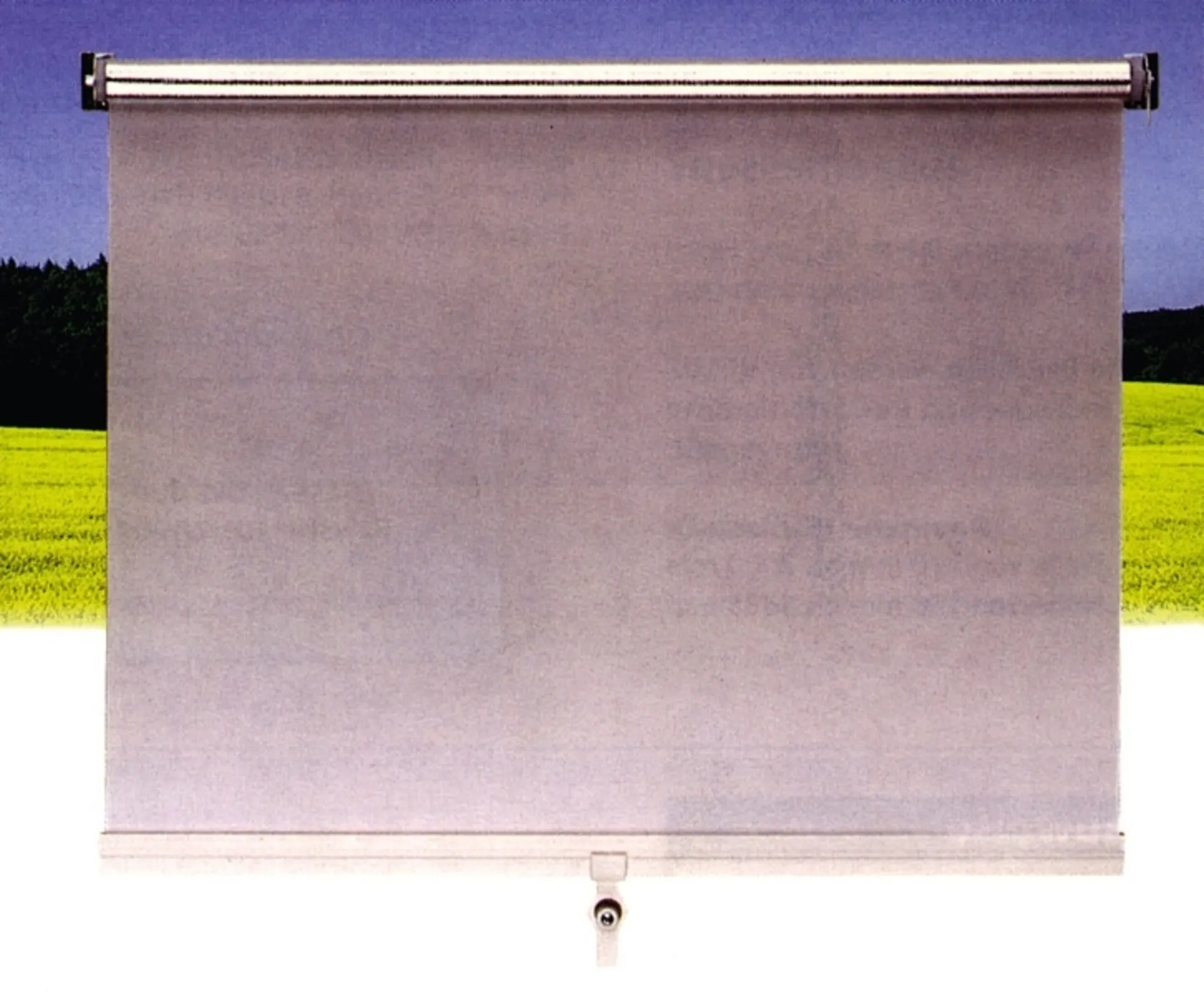 REMIS - Springrollo Grauweiß 770x600mm