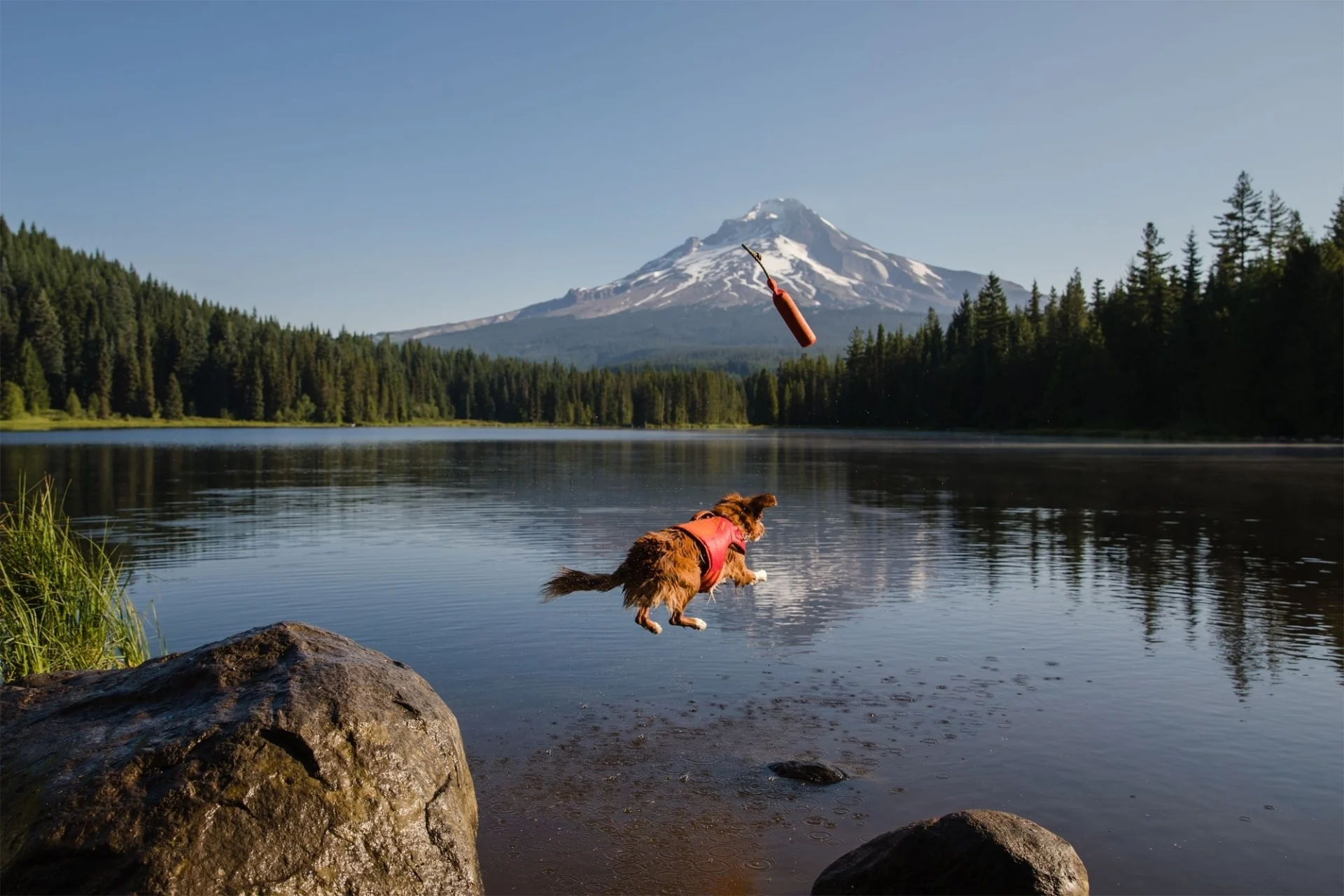 Ruffwear Float Coat Schwimmweste für Hunde Red Sumac XS
