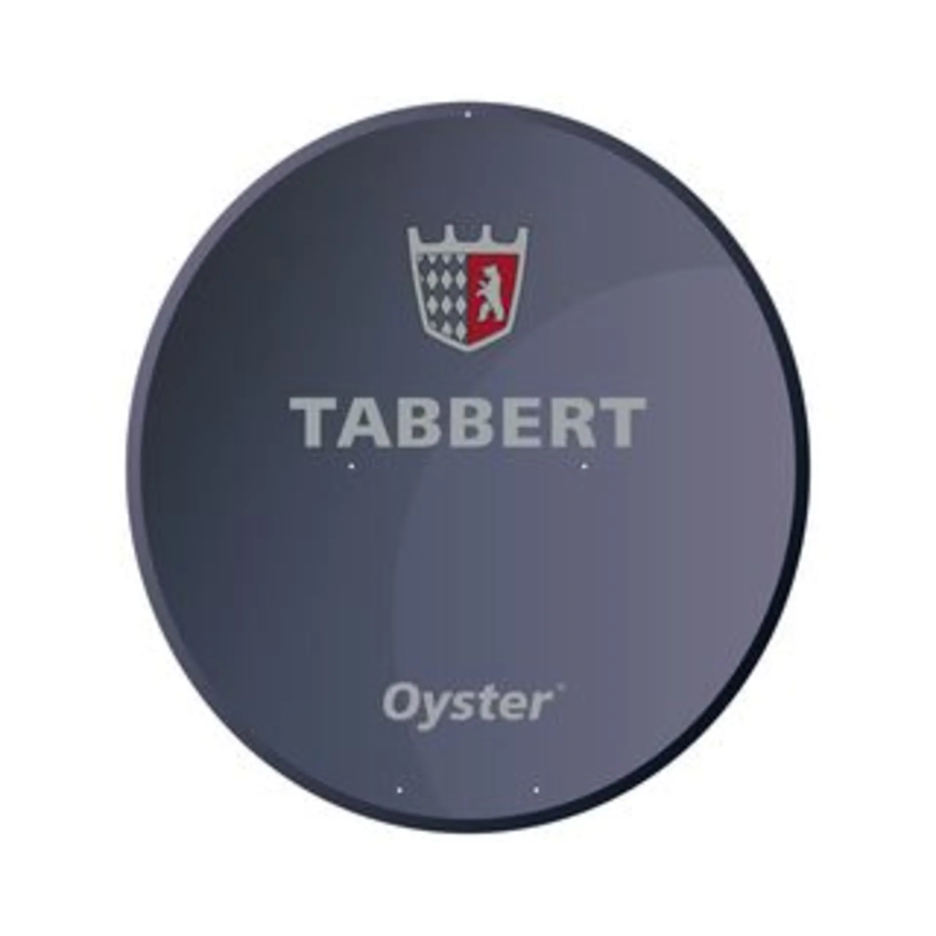 BG Spiegel 60 RAL 7016 anthrazitgrau Ausführung TABBERT