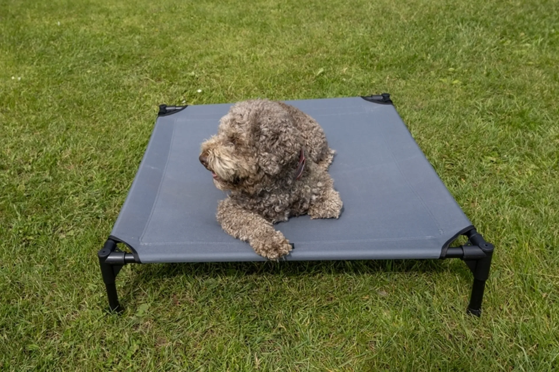 Chaise longue pour chien avec toit solaire