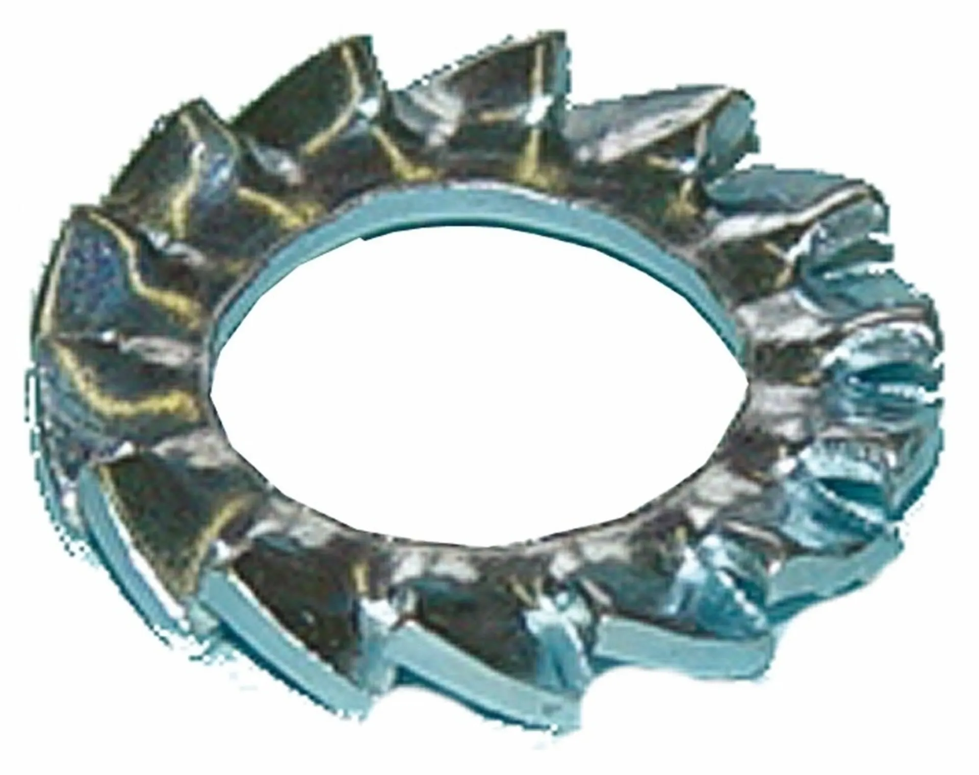 Rondelles éventail Denture extérieure M6 Rondelles éventail Denture extérieure M6