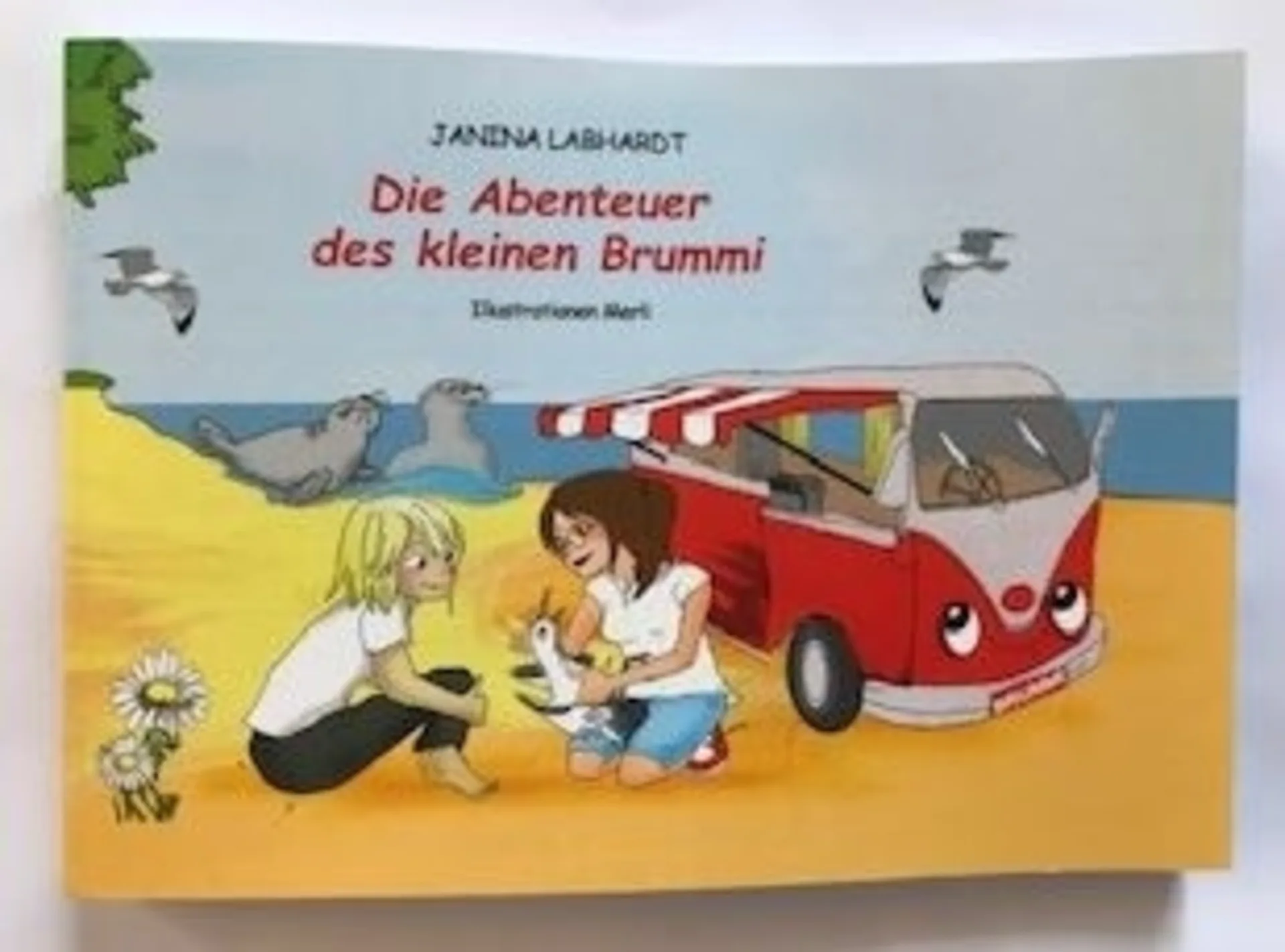 Livre : Les aventures du petit Brummi