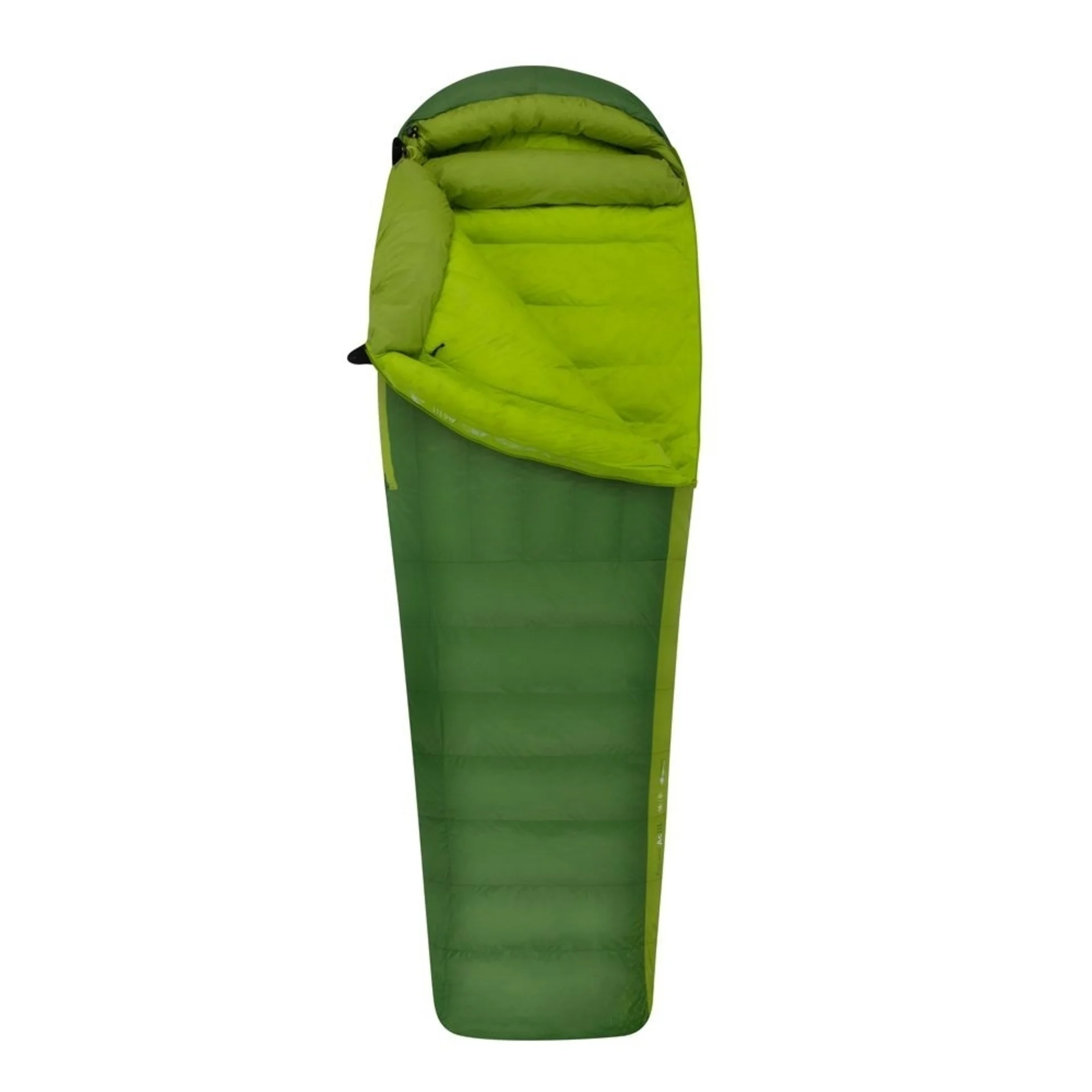 Sea to Summit Ascent AcIII Daunenschlafsack bis -18 Grad, Regular