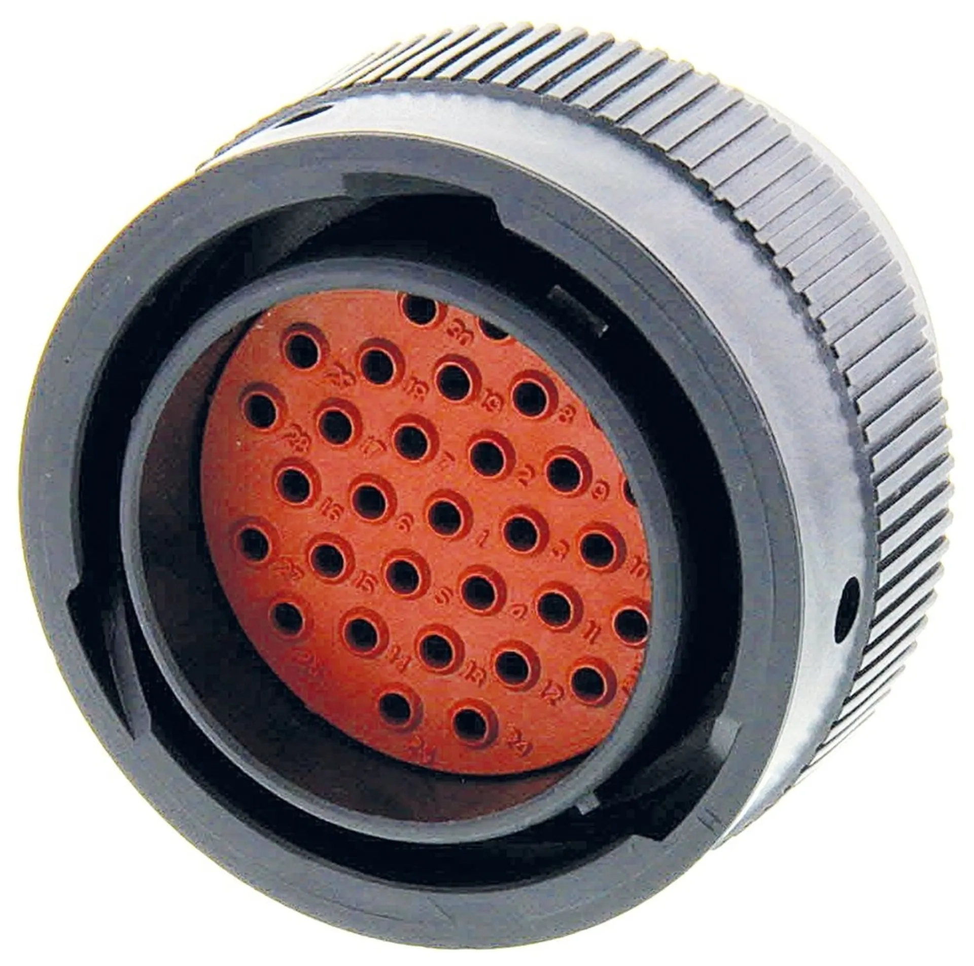 "Deutsch" - Stecker 31-pol ** für Stiftkontakte **
