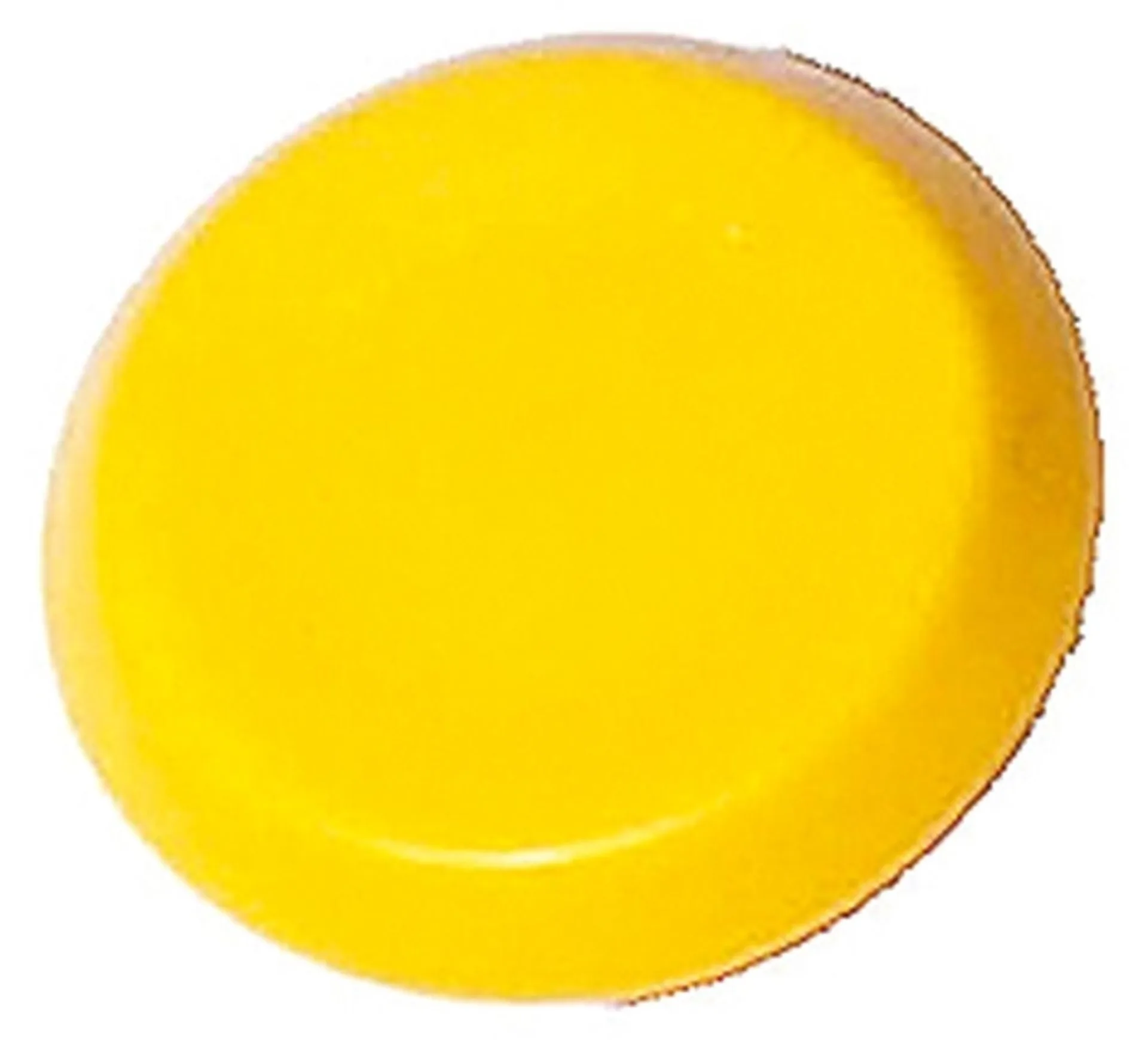 Pneutron Emblem "gelb neutral"