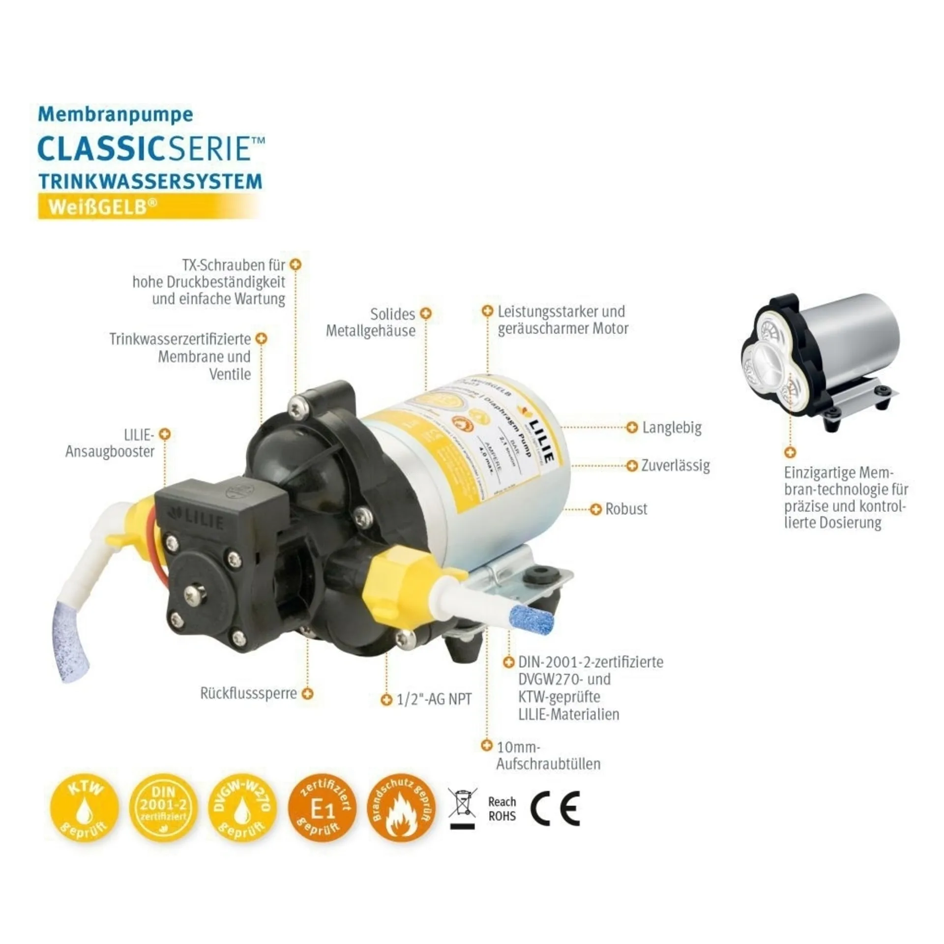 Lilie WeißGELB Classic Serie Membran Wasserpumpee