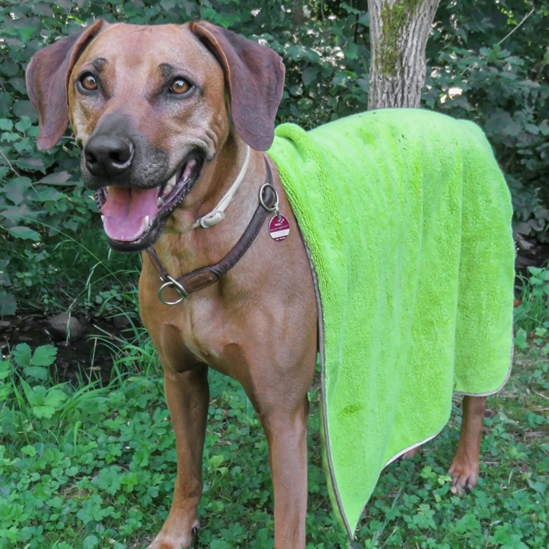 Serviette pour chien en microfibre Awiwa