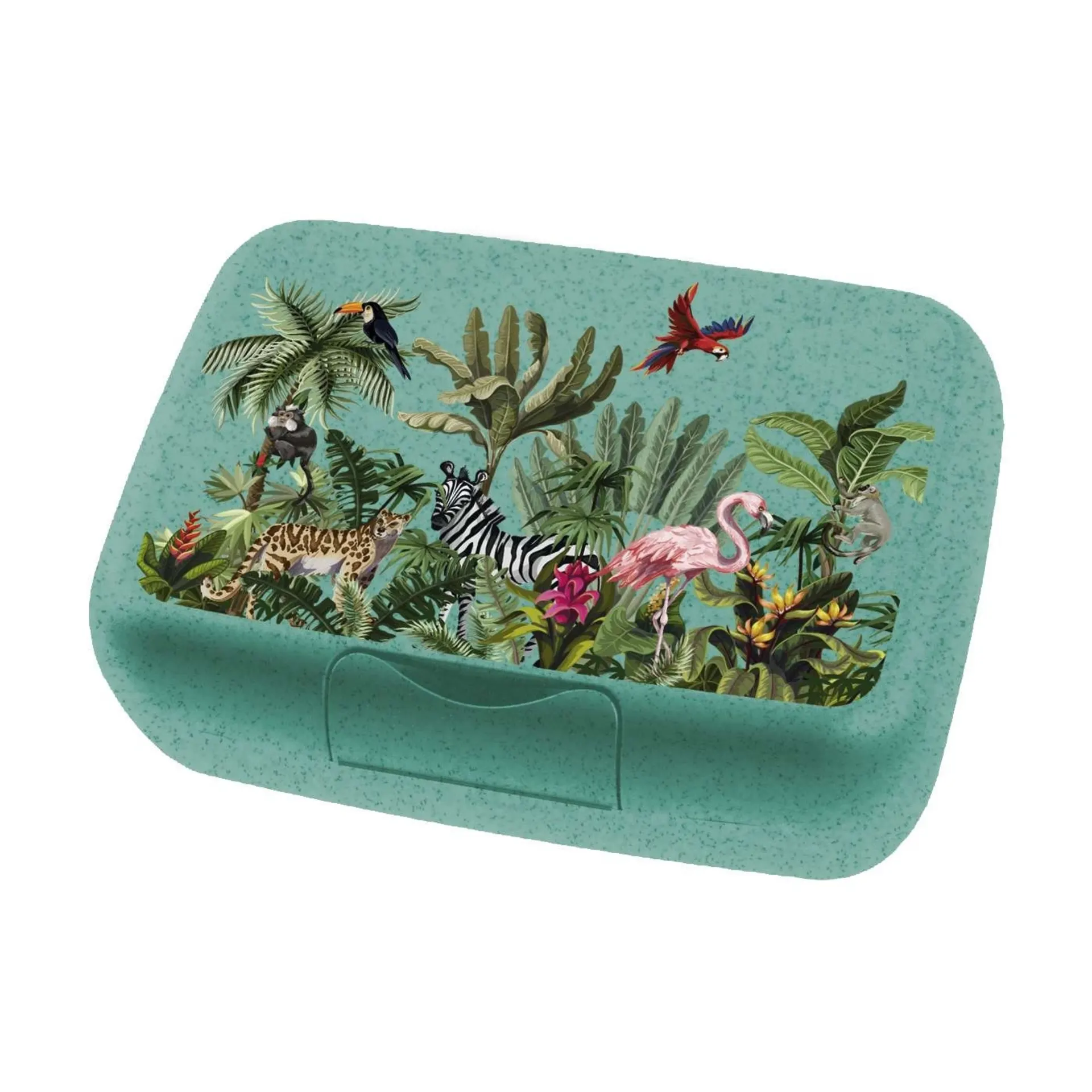 Koziol Candy L Box Lunchbox / Brotdose mit Trennschale Jungle organic turquoise