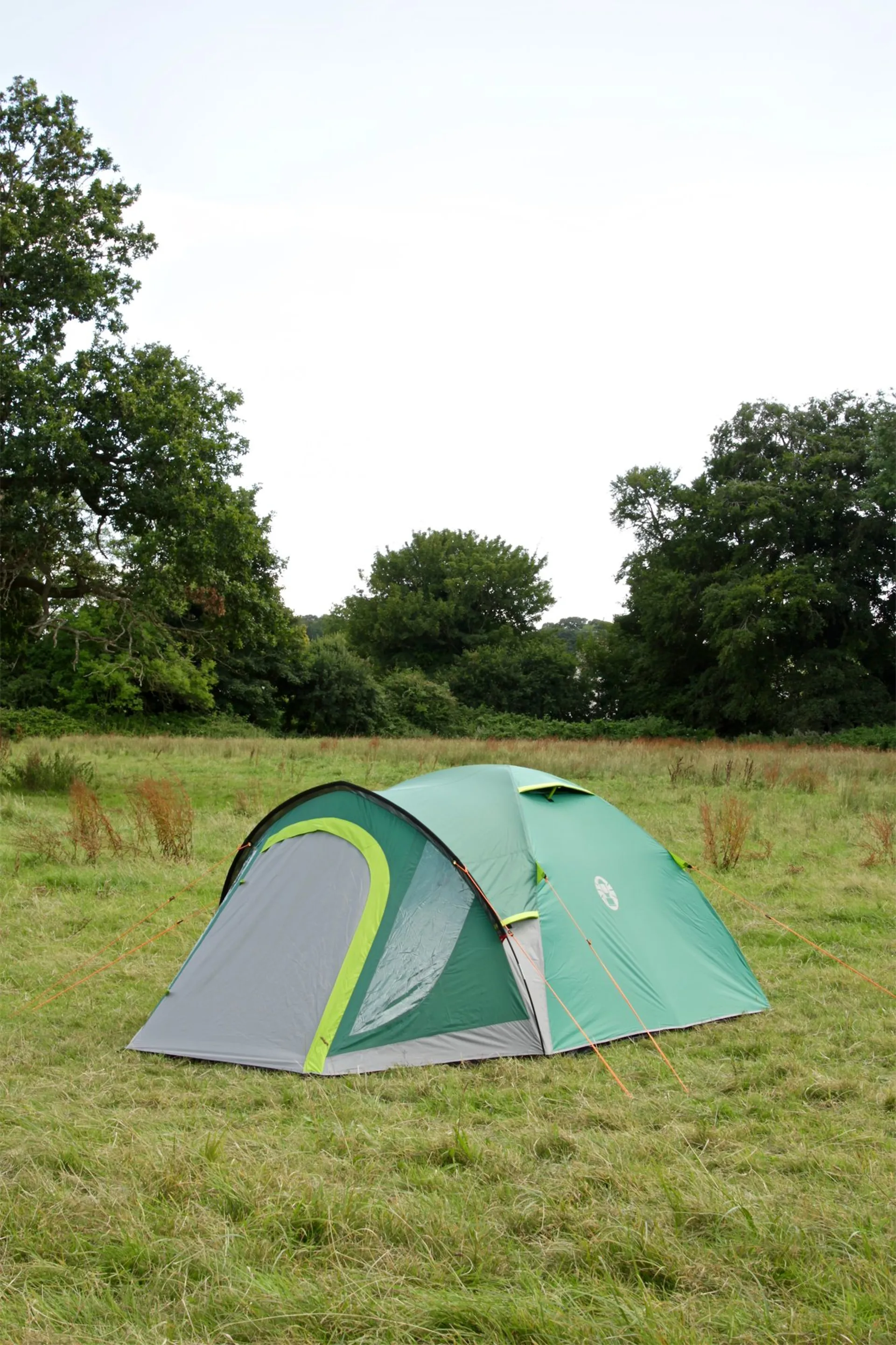 Coleman Kobuk Valley 4 Plus Kuppelzelt für 4 Personen