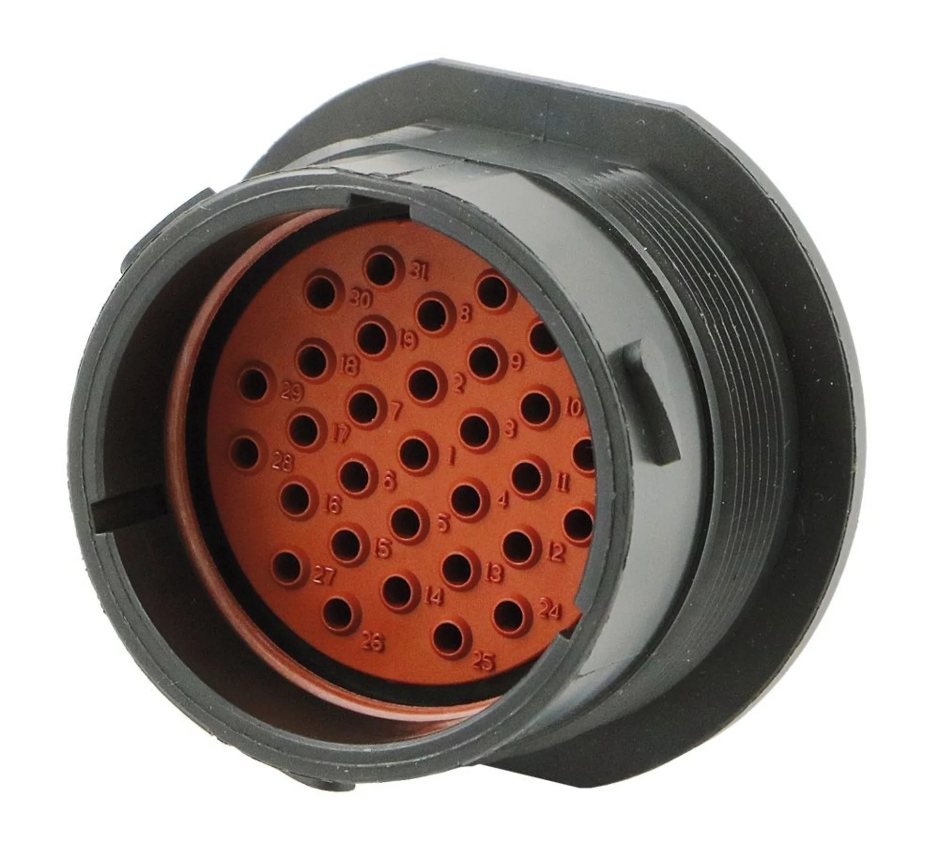 "Deutsch" - Steckdose 31-pol für männliche Stiftkontakte