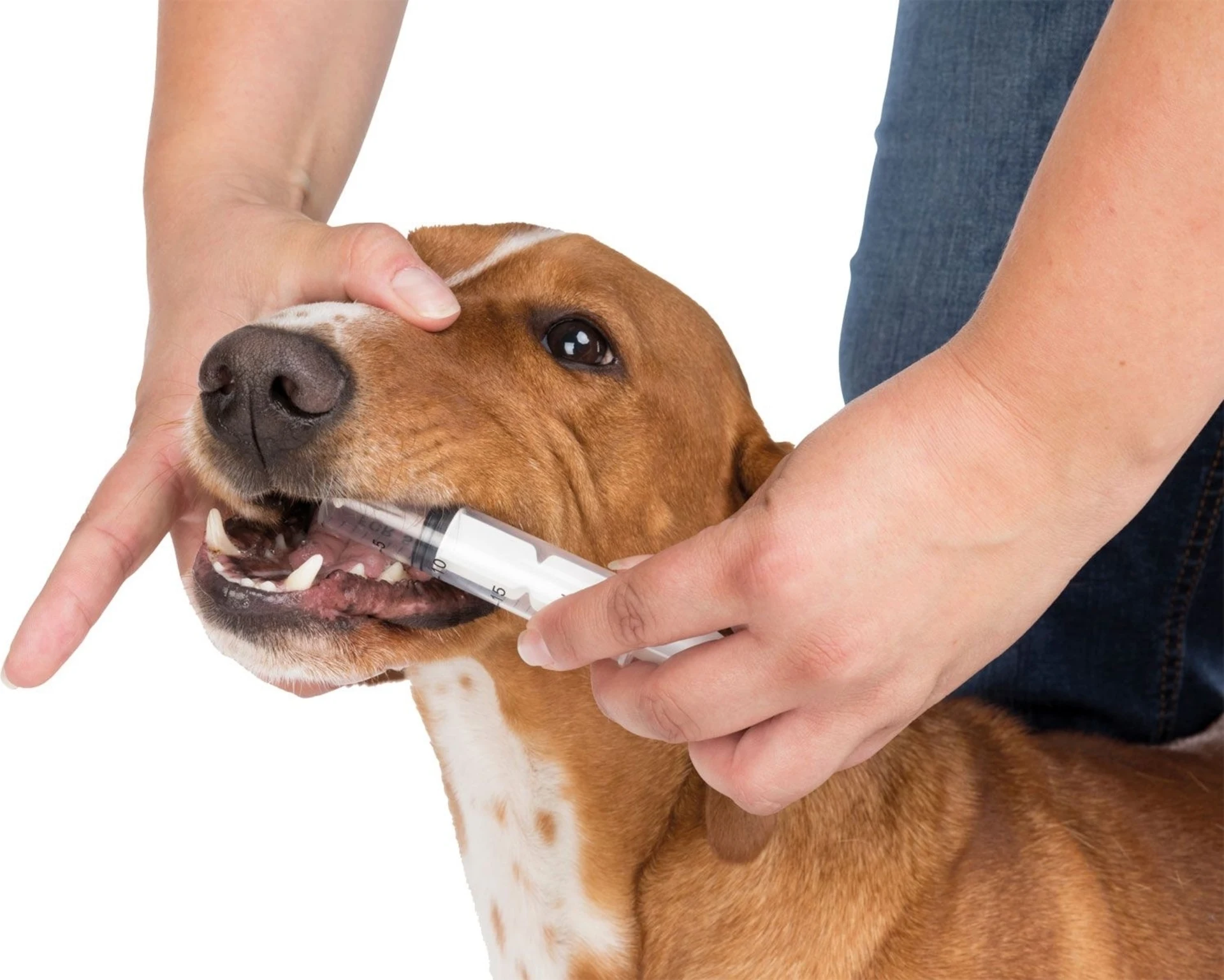 Jollypaw Erste Hilfe Set für Hunde und Katzen