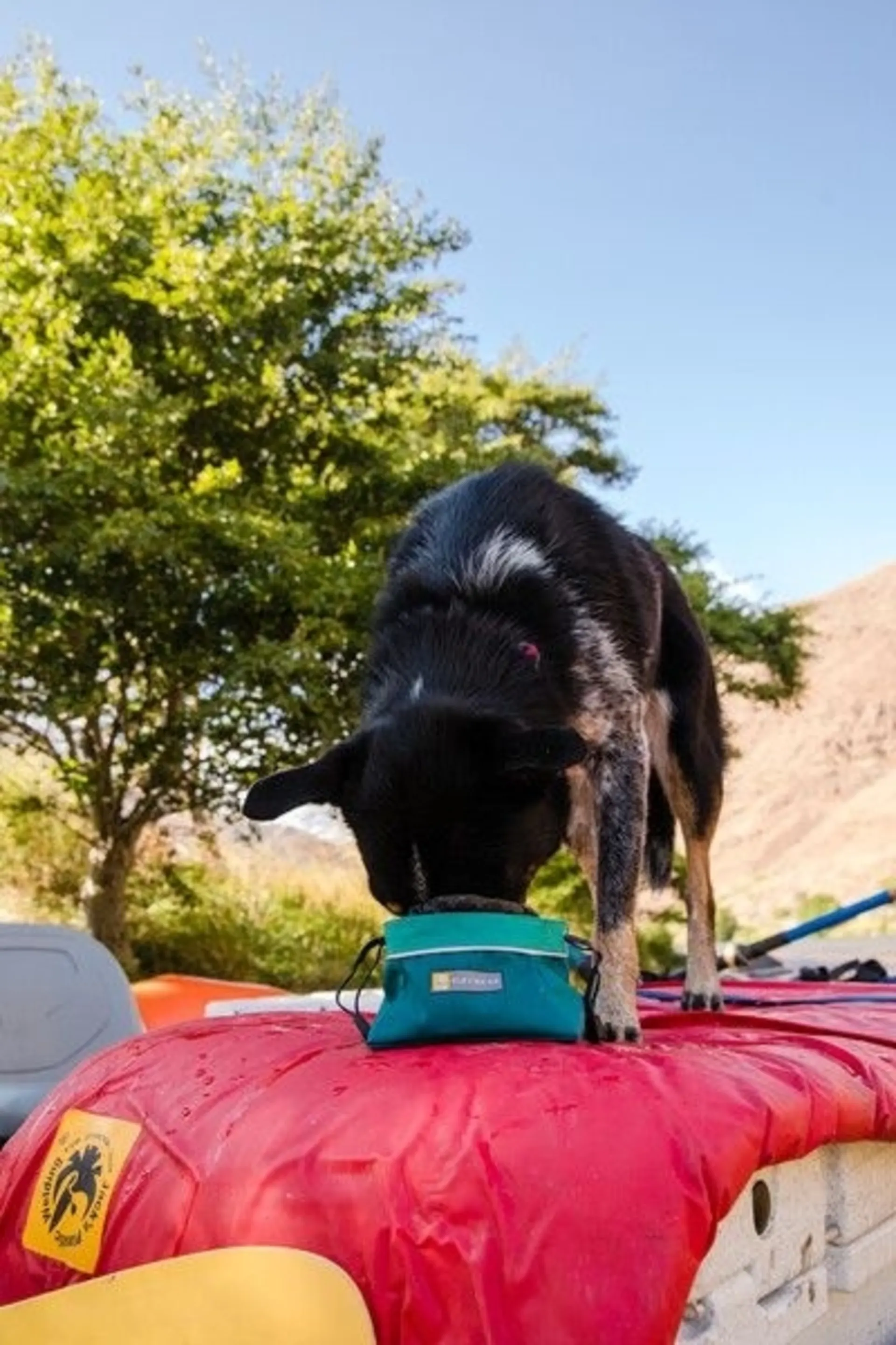 Ruffwear Quencher Cinch Top Hundenapf für unterwegs L tumalo teal
