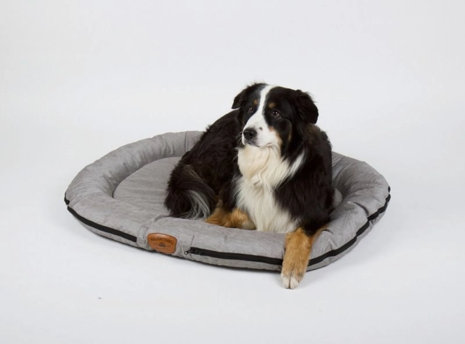 Lit pour chien d'extérieur imperméable de HOLIDAY TRAVEL