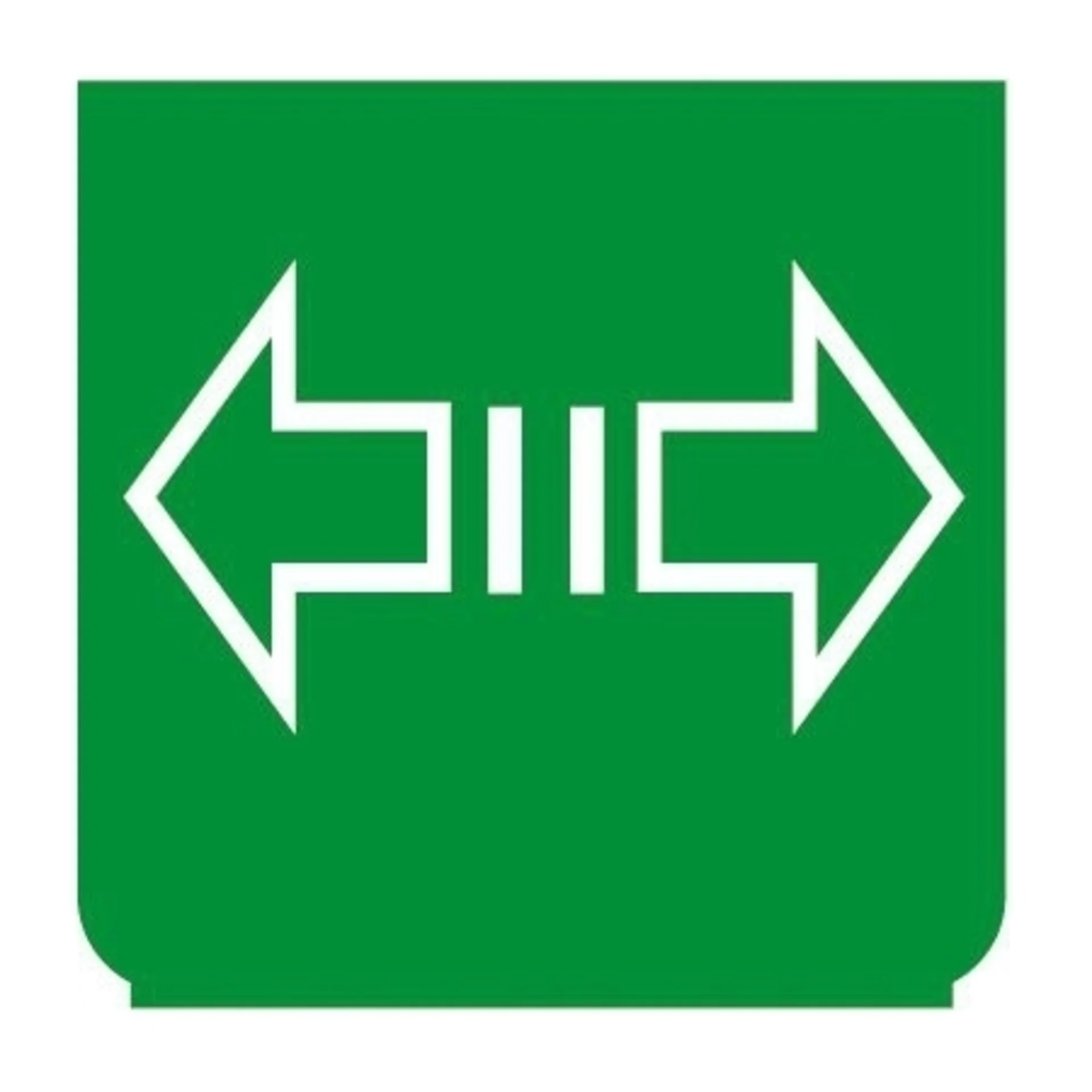 Emblem - Blinker Anhänger 2 grün