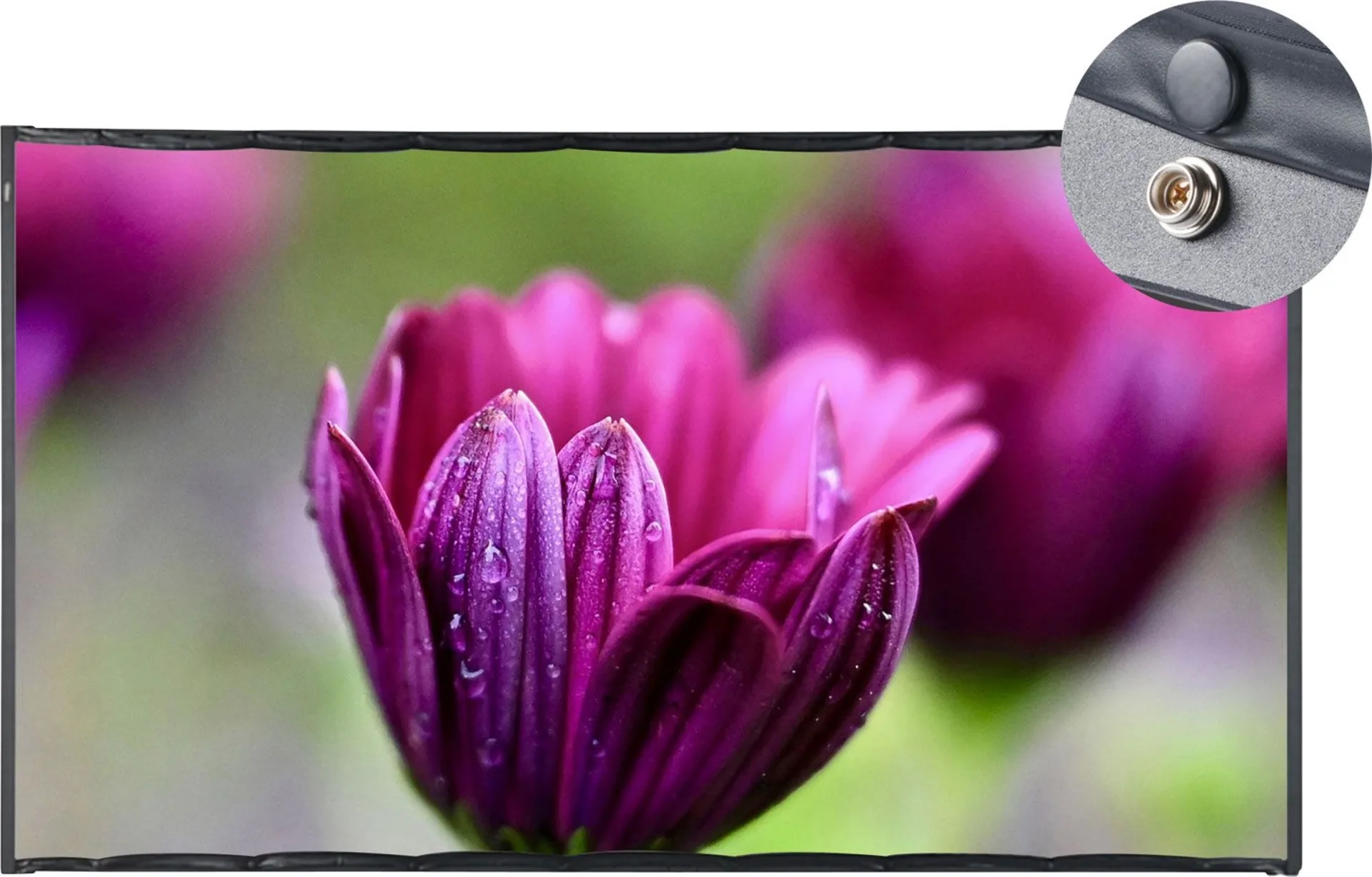 Celexon ivolum HBP-3000 LED Beamer Set inkl. Leinwand 177 x 99 cm