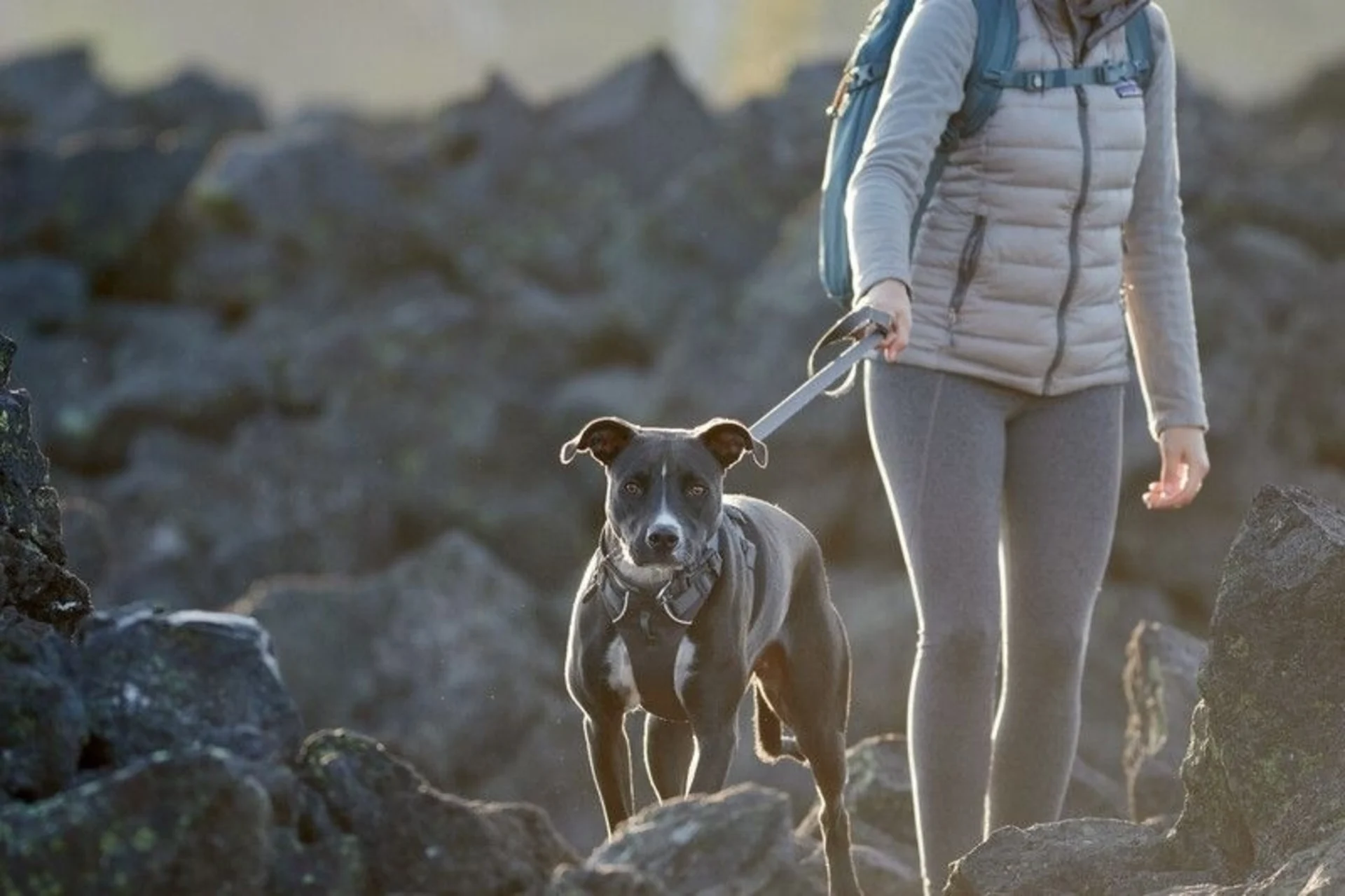 Ruffwear Front Range laisse pour chien Twilight Gray