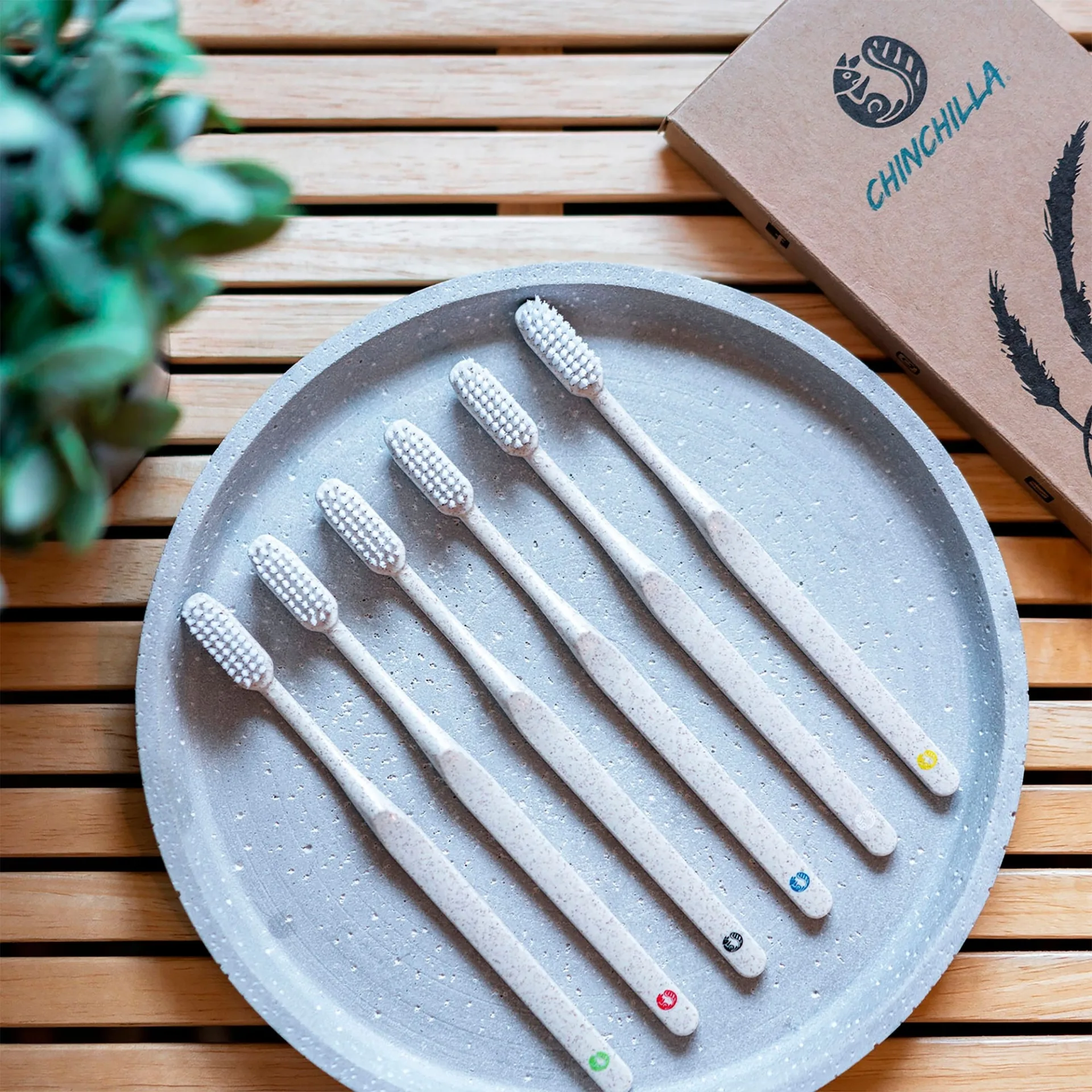 Brosses à dents Chinchilla biodégradables, lot de 6