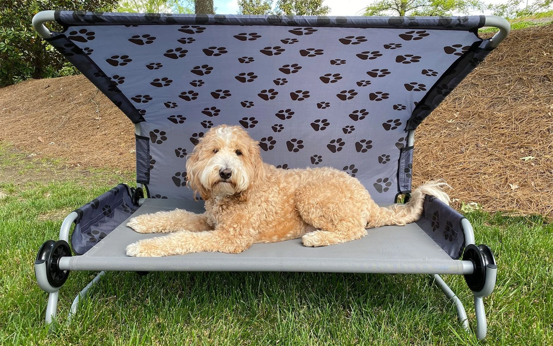 DiscOBed Dog-Bed L lit pliant pour chien