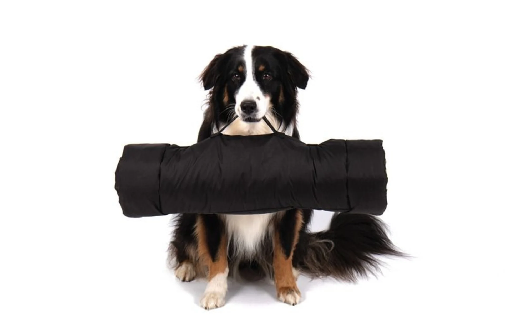 Hunde-Outdoor-Decke ABBY, 100x65 cm