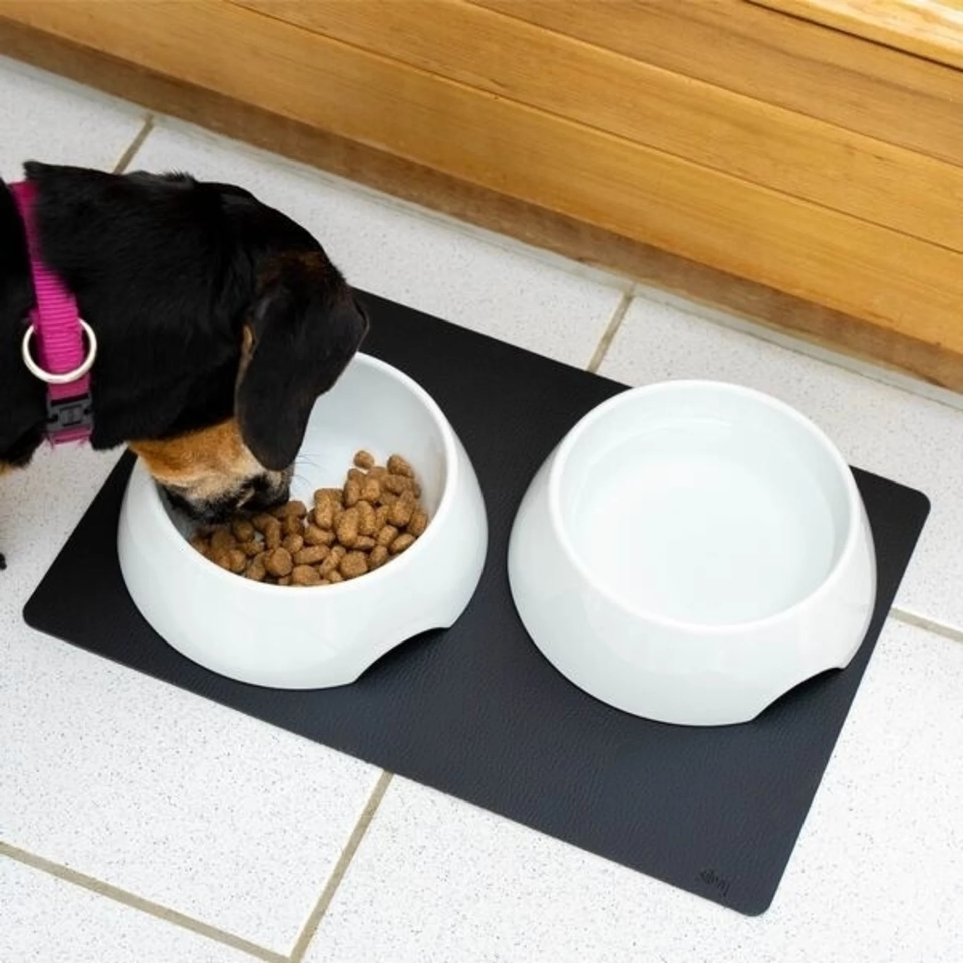 Lot de gamelles pour chien Silwy en porcelaine