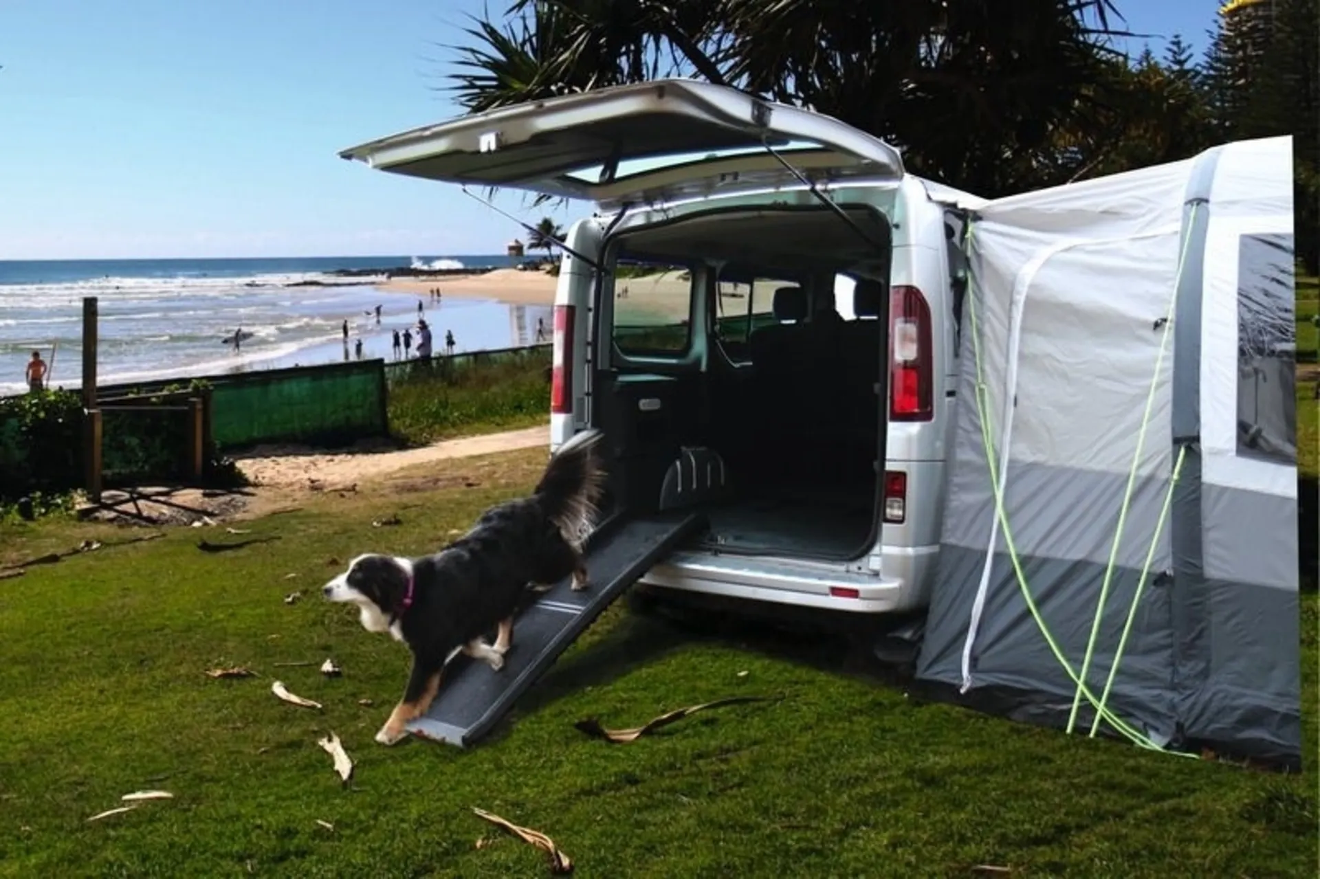 Camp4 ZORA Rampe pour chiens - Aide pratique à l'accès pour les chiens