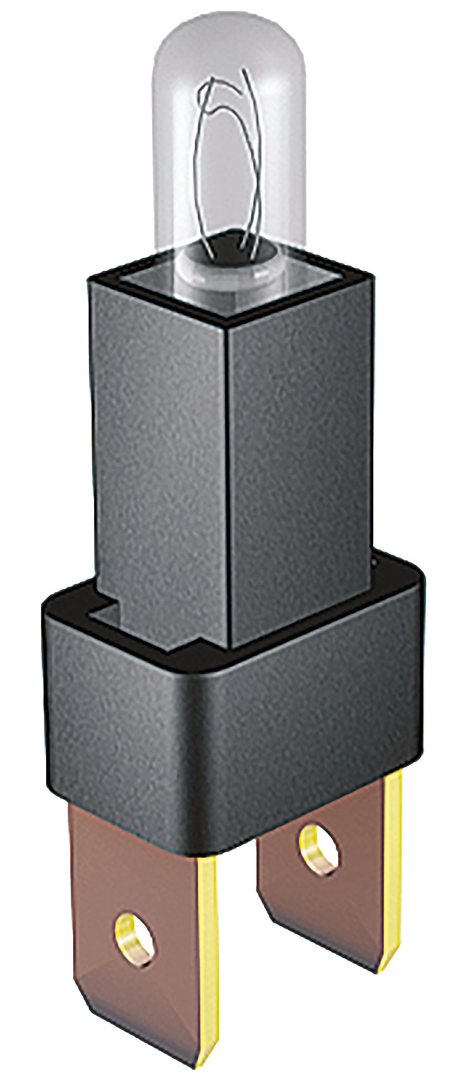 Ampoule de rechange pour interrupteur 12V Ampoule de rechange pour interrupteur 12V