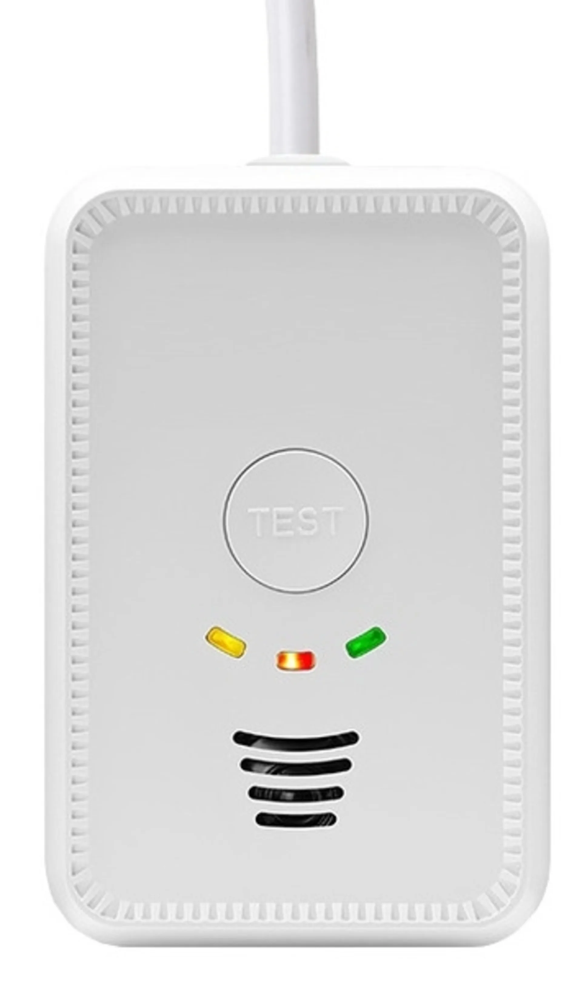 LPG/CO Gaswarner 12 V - 2 in 1