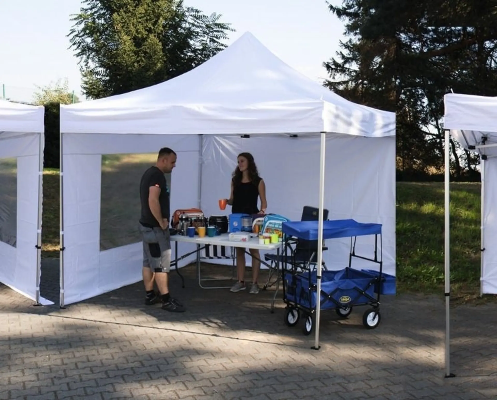 Pavillon pliable Camp4 avec structure en aluminium 3x3 m - Qualité premium pour les professionnels