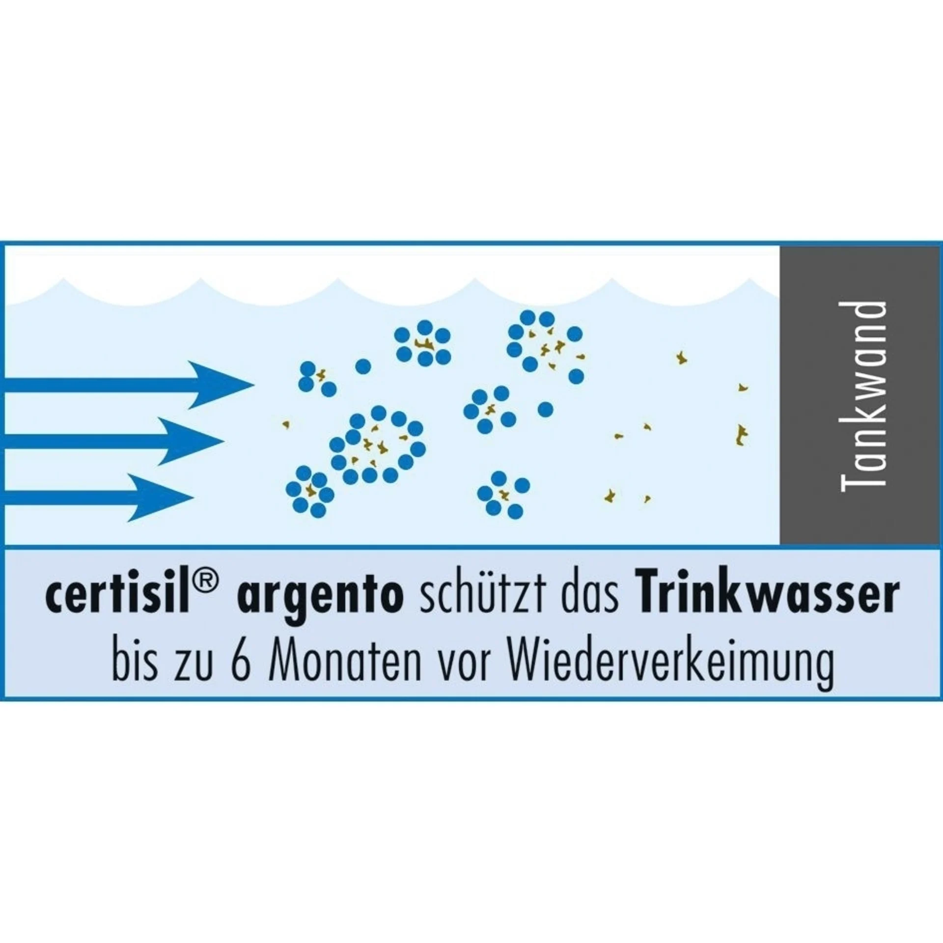 certisil argento CA 1.000 f 100 ml Flüssig, SB-verpackt