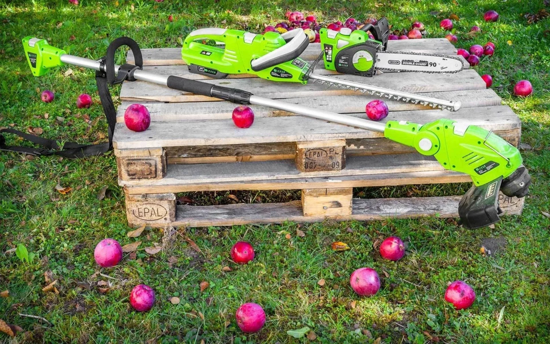 Zipper ZI-GPS40V-AKKU Kit d'entretien de jardin (incl. batterie