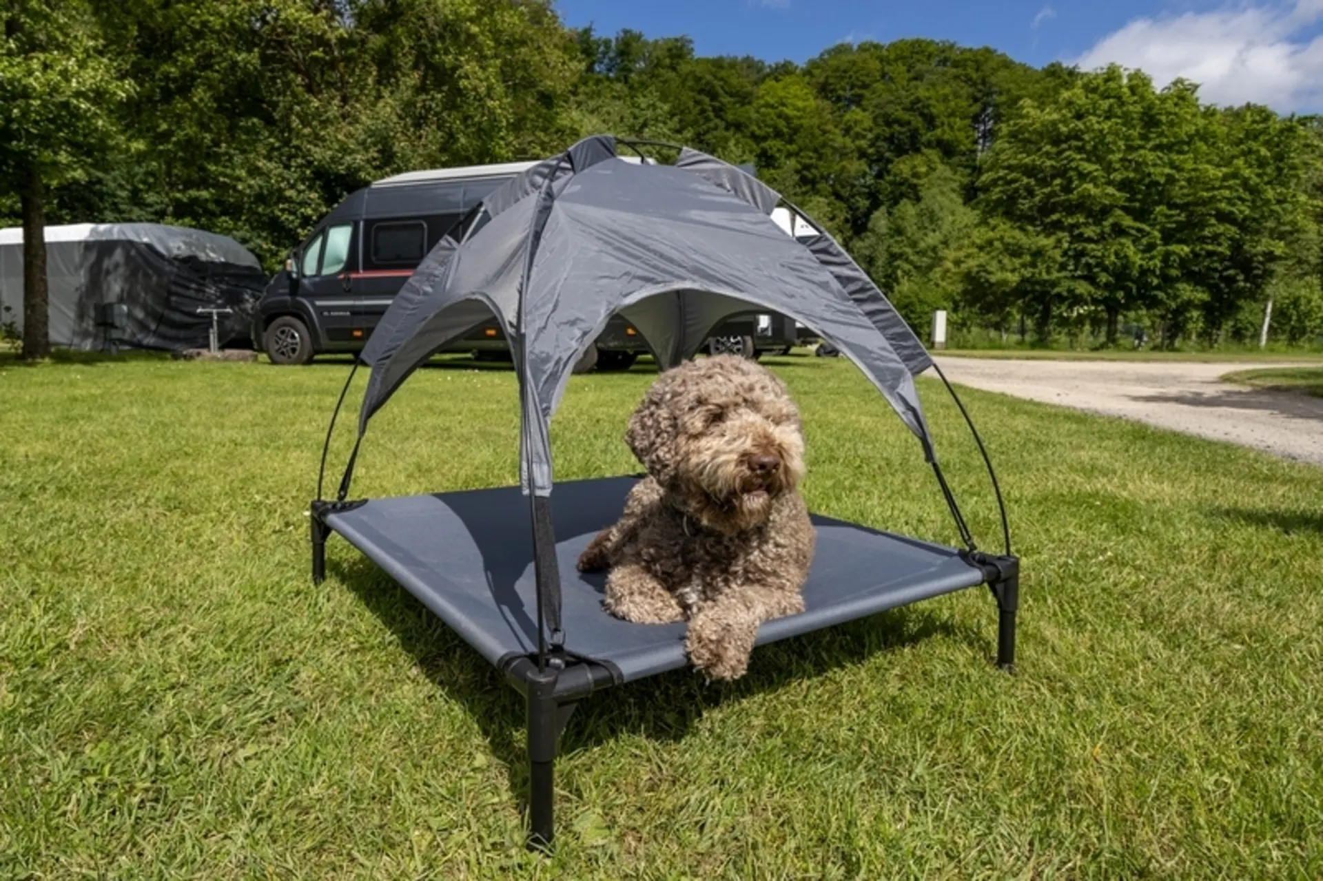 Chaise longue pour chien avec toit solaire