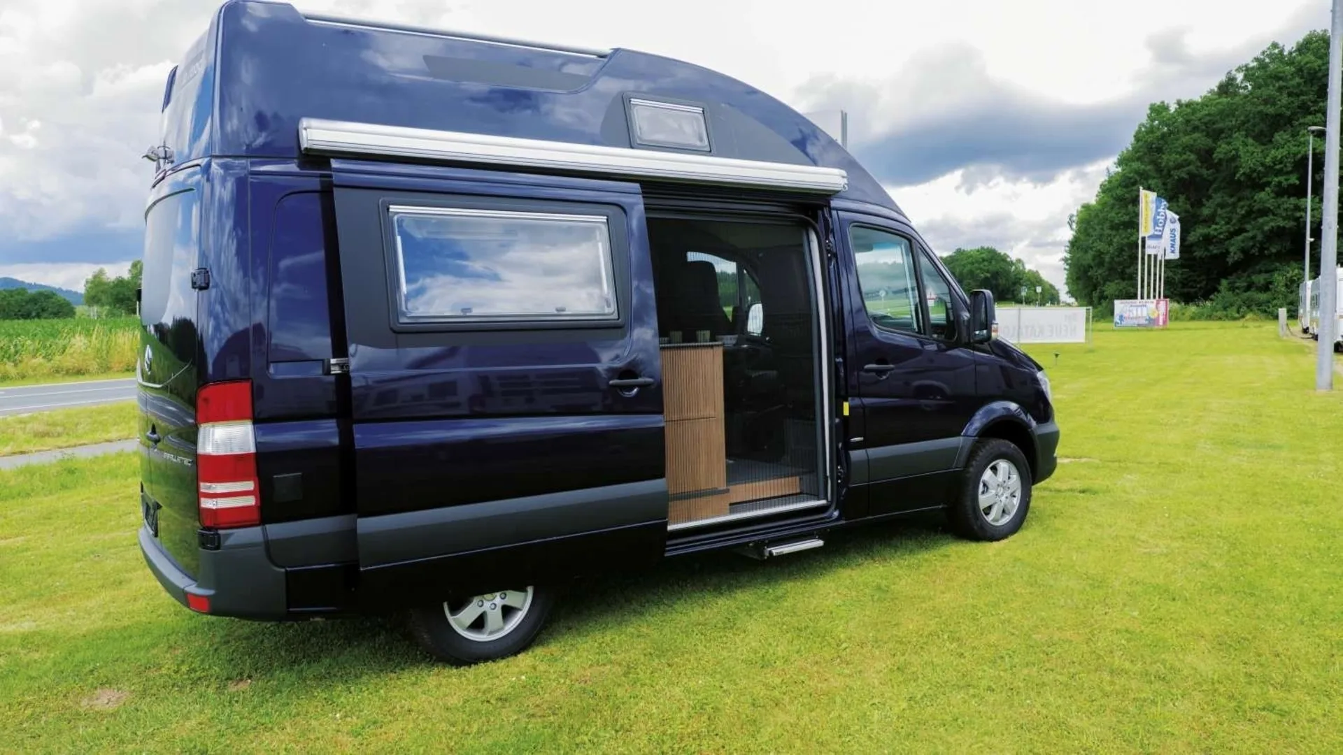 Remis REMIcare Tür-Insektenschutz Mercedes Sprinter / VW Crafter Bj. 2006-2016 Niedrige Tür