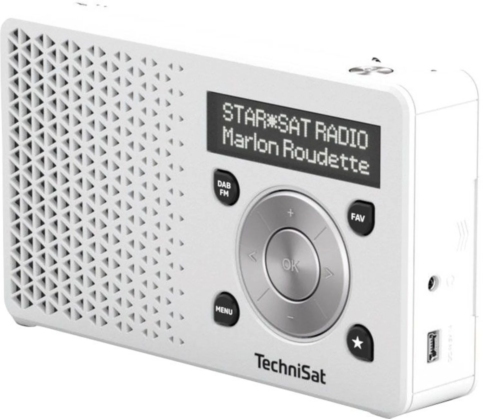 TechniSat DAB+ Digitradio 1 Tragbares Digitalradio mit integriertem Akku