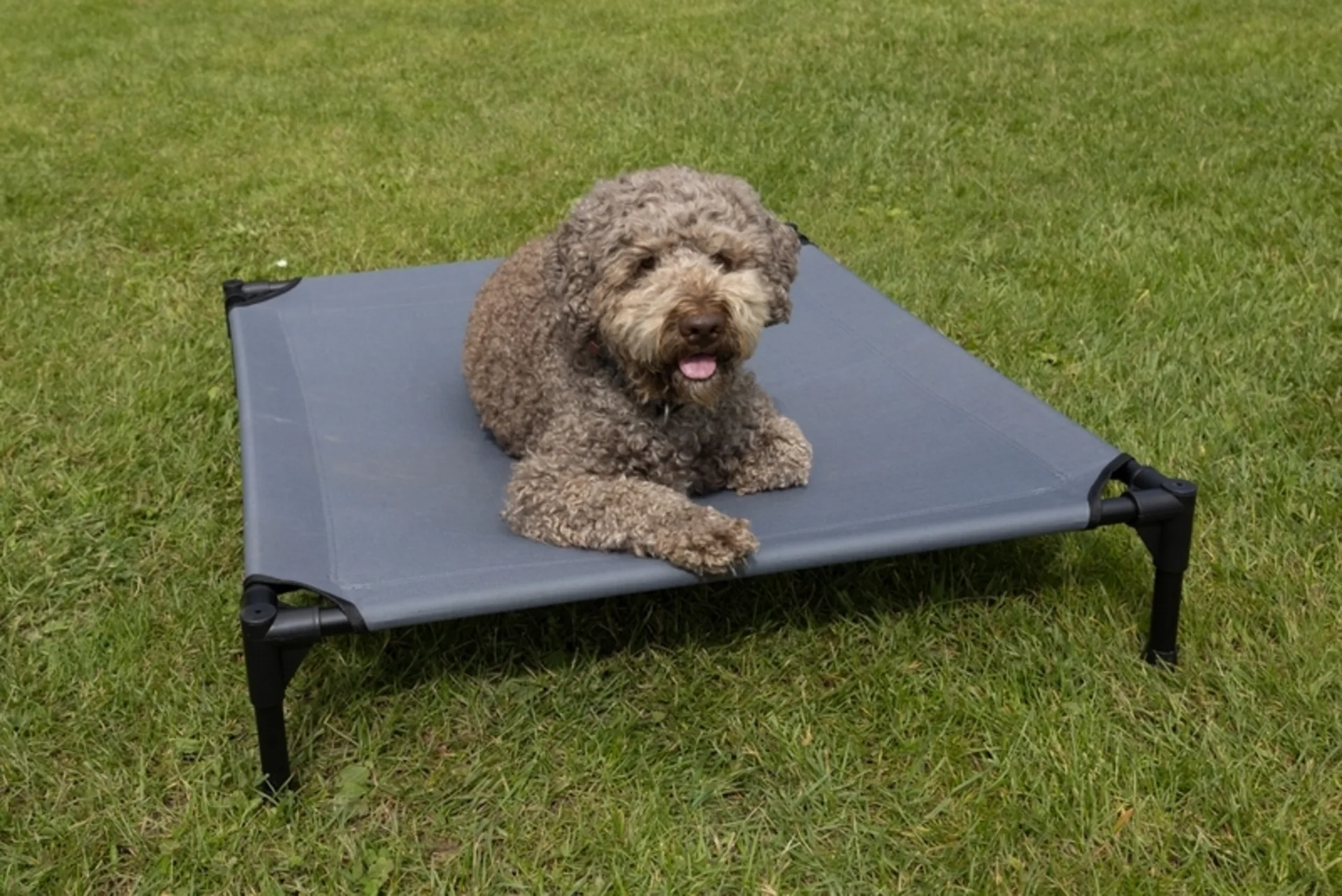 Chaise longue pour chien avec toit solaire