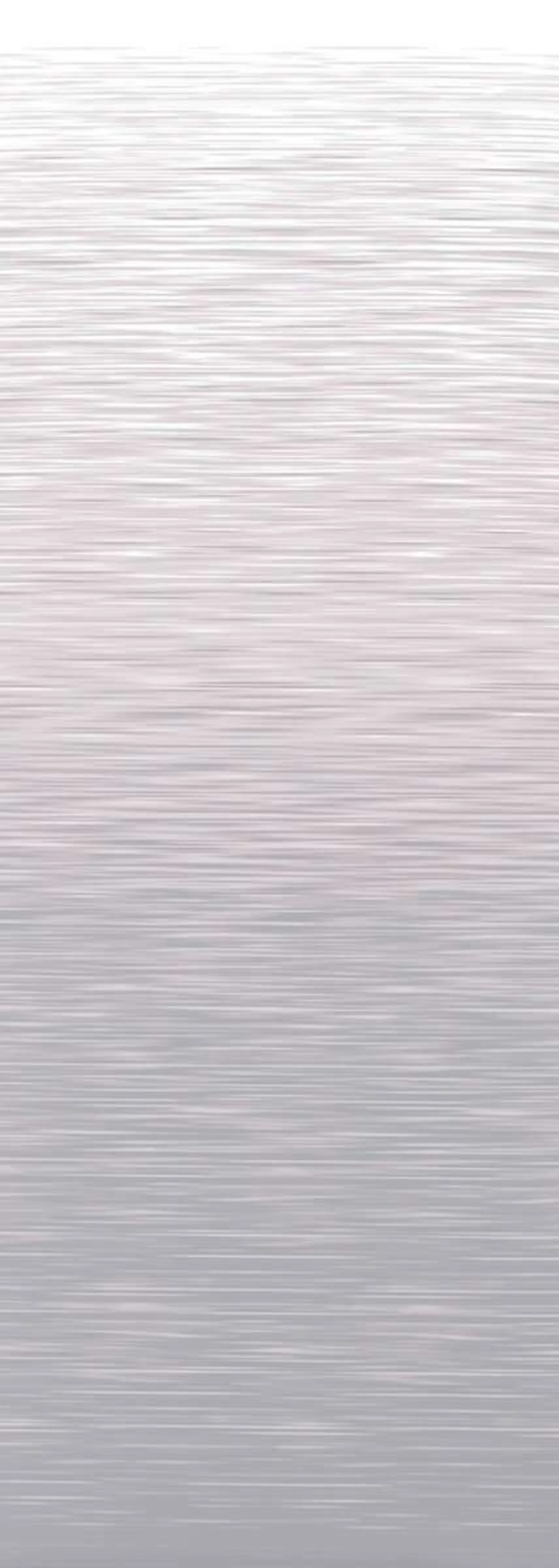 Store de toit Thule Omnistor 9200 anodisé 400 gris