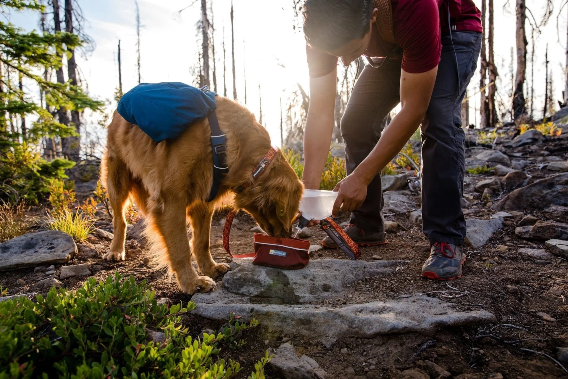 Ruffwear Front Range Hunderucksack S Blue Moon
