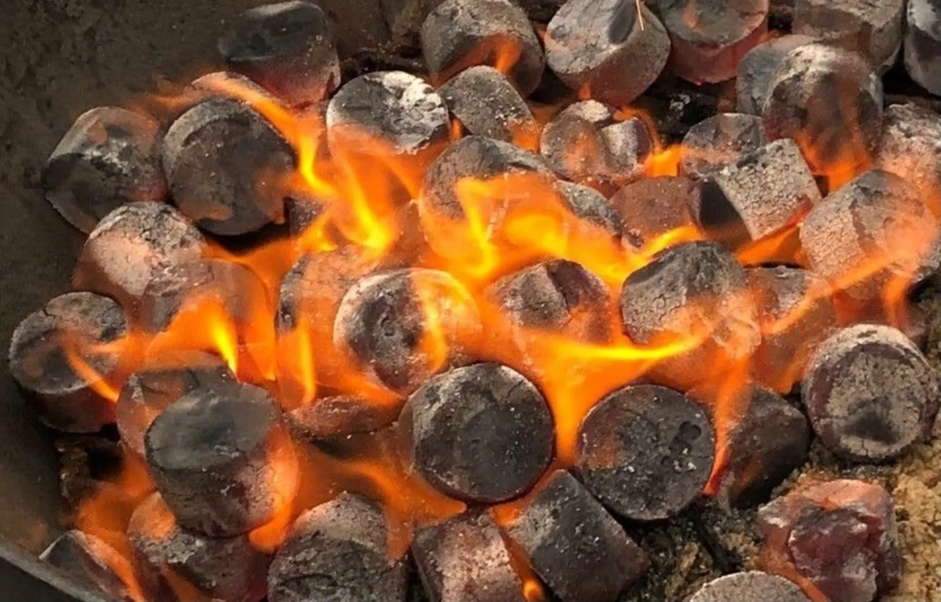 CASUS Bambuskohle Briquettes 1kg-Packung