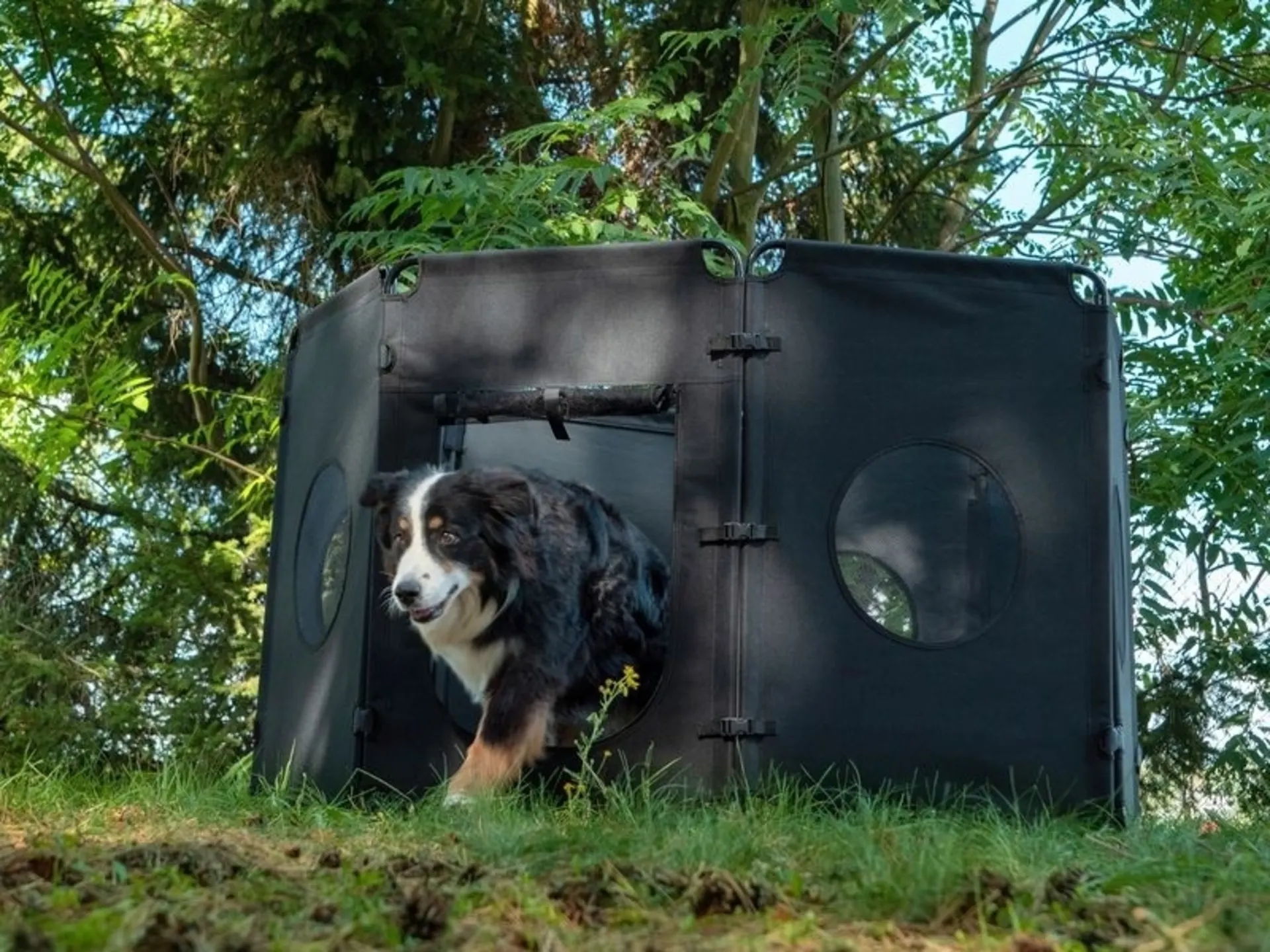 Barrière pour chien pliable de Camp4