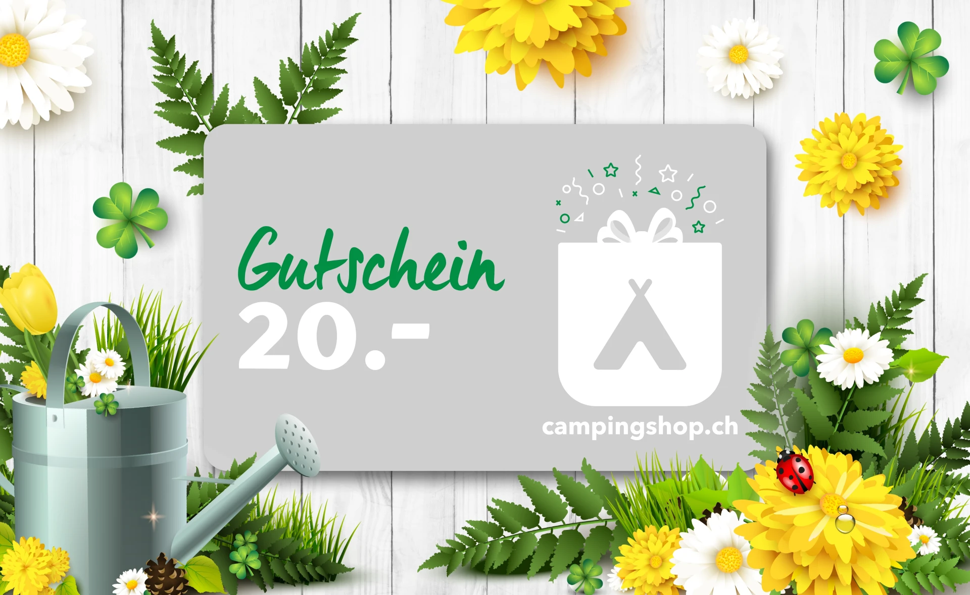 Gutschein CHF 20.-
