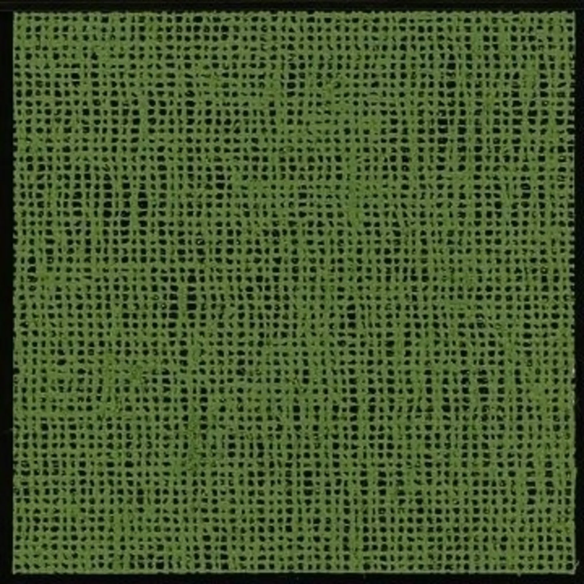 Tapis d'auvent Aero-Tex 250 x 600 cm, vert