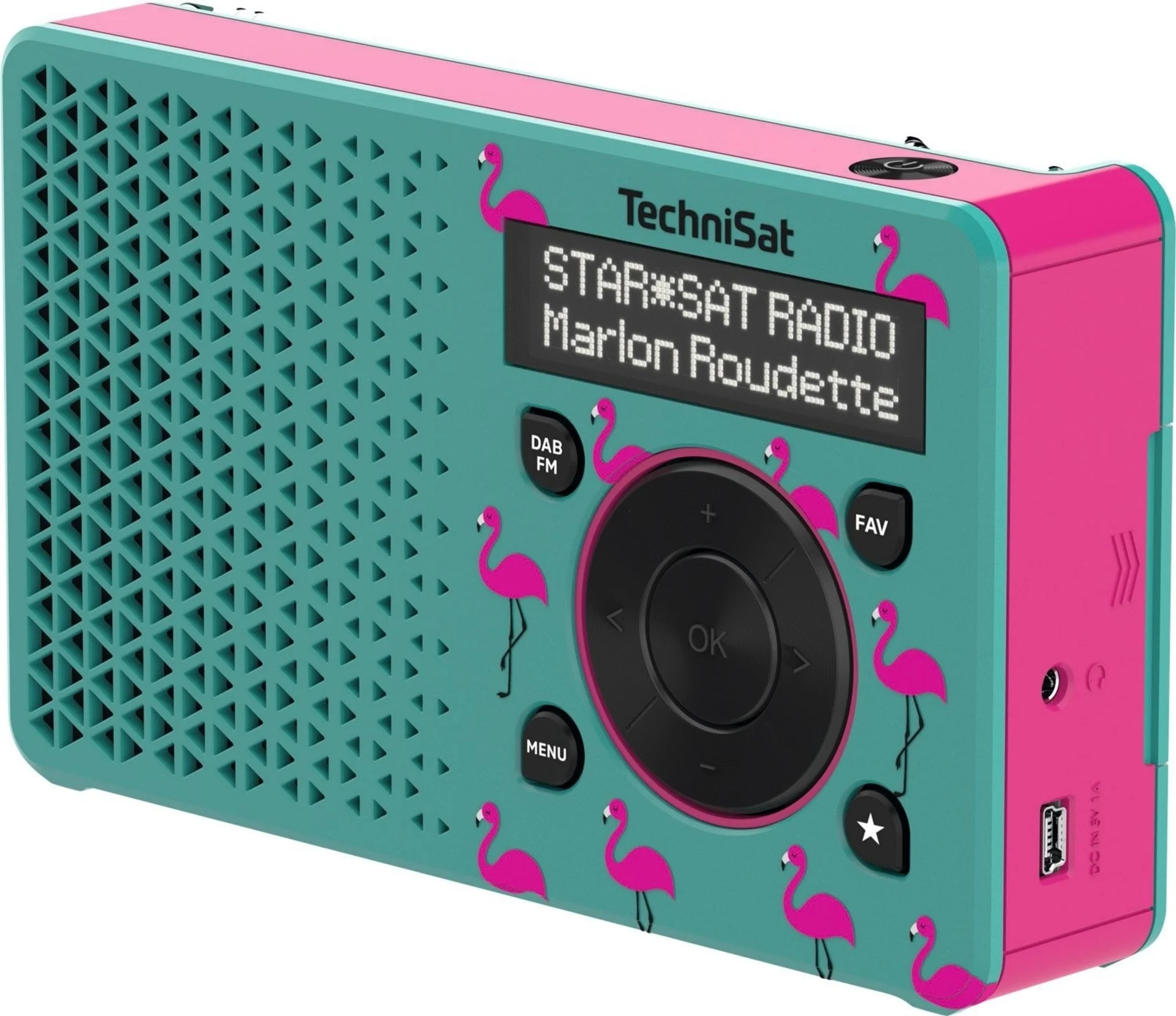 TechniSat DAB+ Digitradio 1 Radio numérique portable avec batterie intégrée