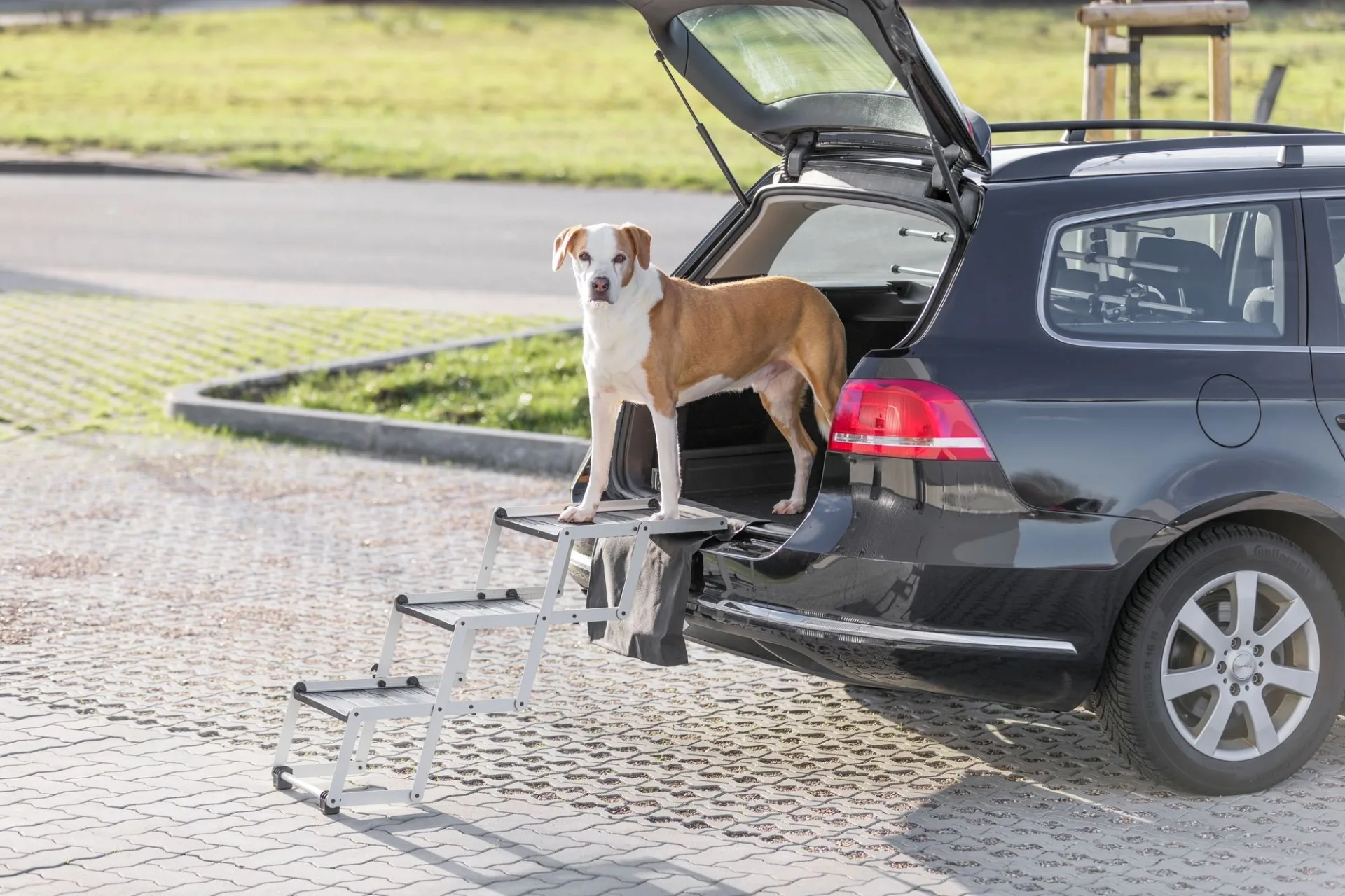 TRIXIE Escalier pliable en aluminium pour chiens TRIXIE Escalier pliable en aluminium pour chiens
