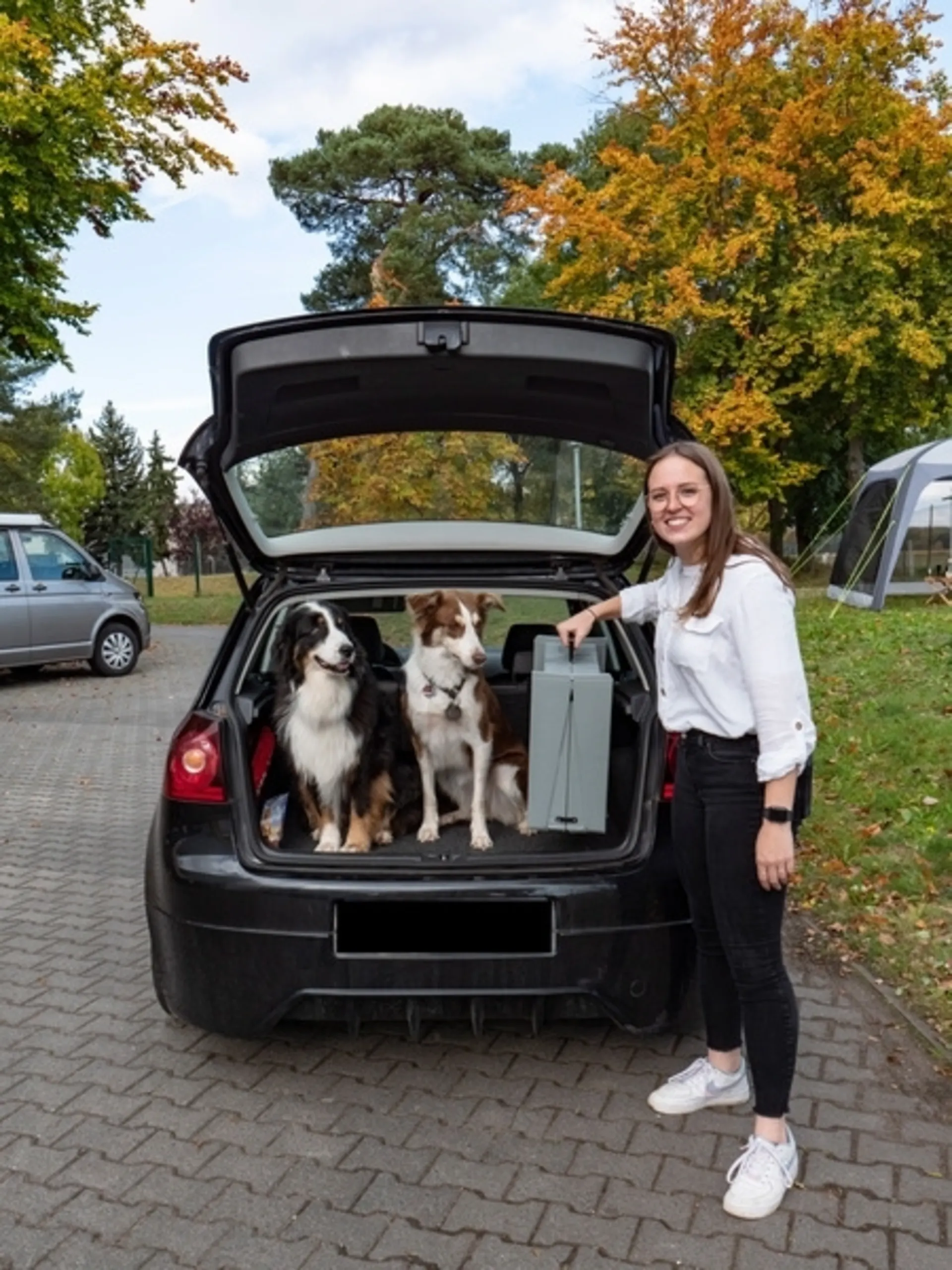 Rampe pour chien pliable en plastique Emma - aide à l'entrée pour les chiens